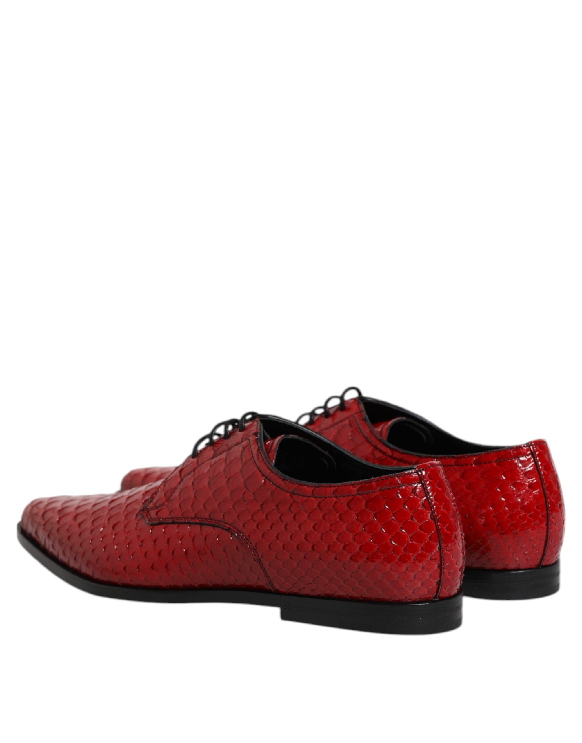 Exotic Leather Lace Up Dress Derby Men's Shoes - Dolce & Gabbana - Modalova