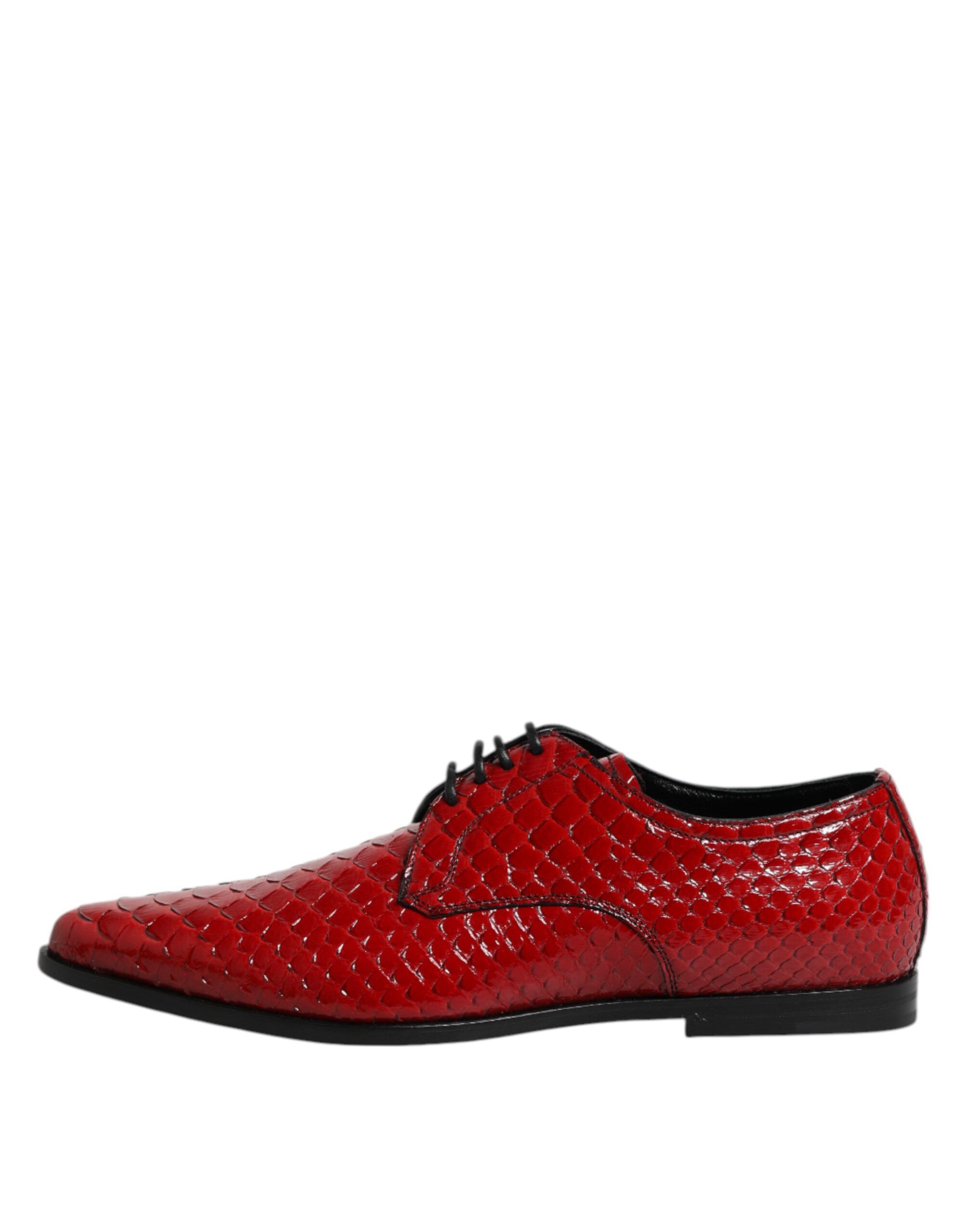 Exotic Leather Lace Up Dress Derby Men's Shoes - Dolce & Gabbana - Modalova