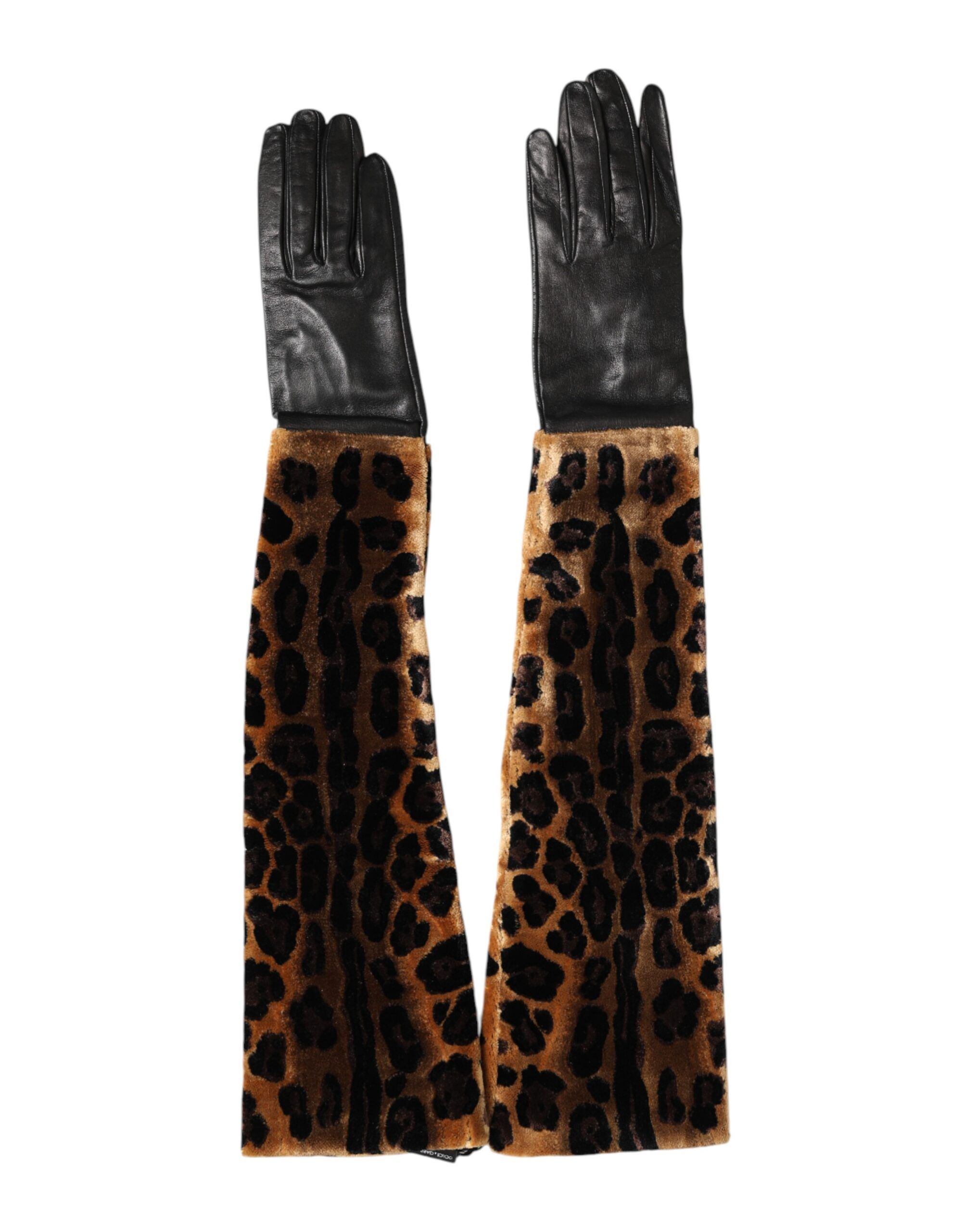 Brown Black Leopard Leather Elbow Length Mitten Women's Gloves - Dolce & Gabbana - Modalova