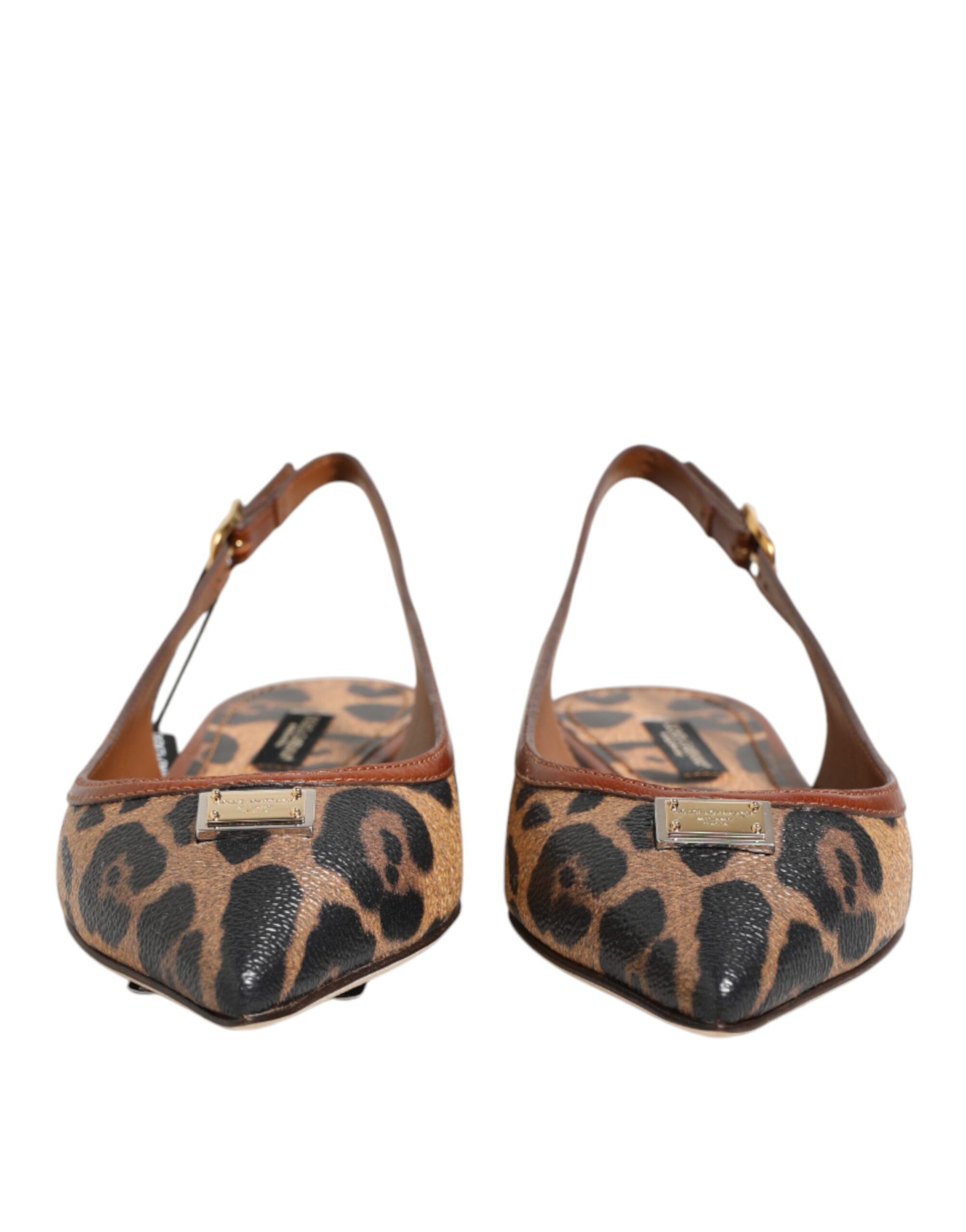 Leopard Slingback Flats Sandals Women's Shoes - Dolce & Gabbana - Modalova