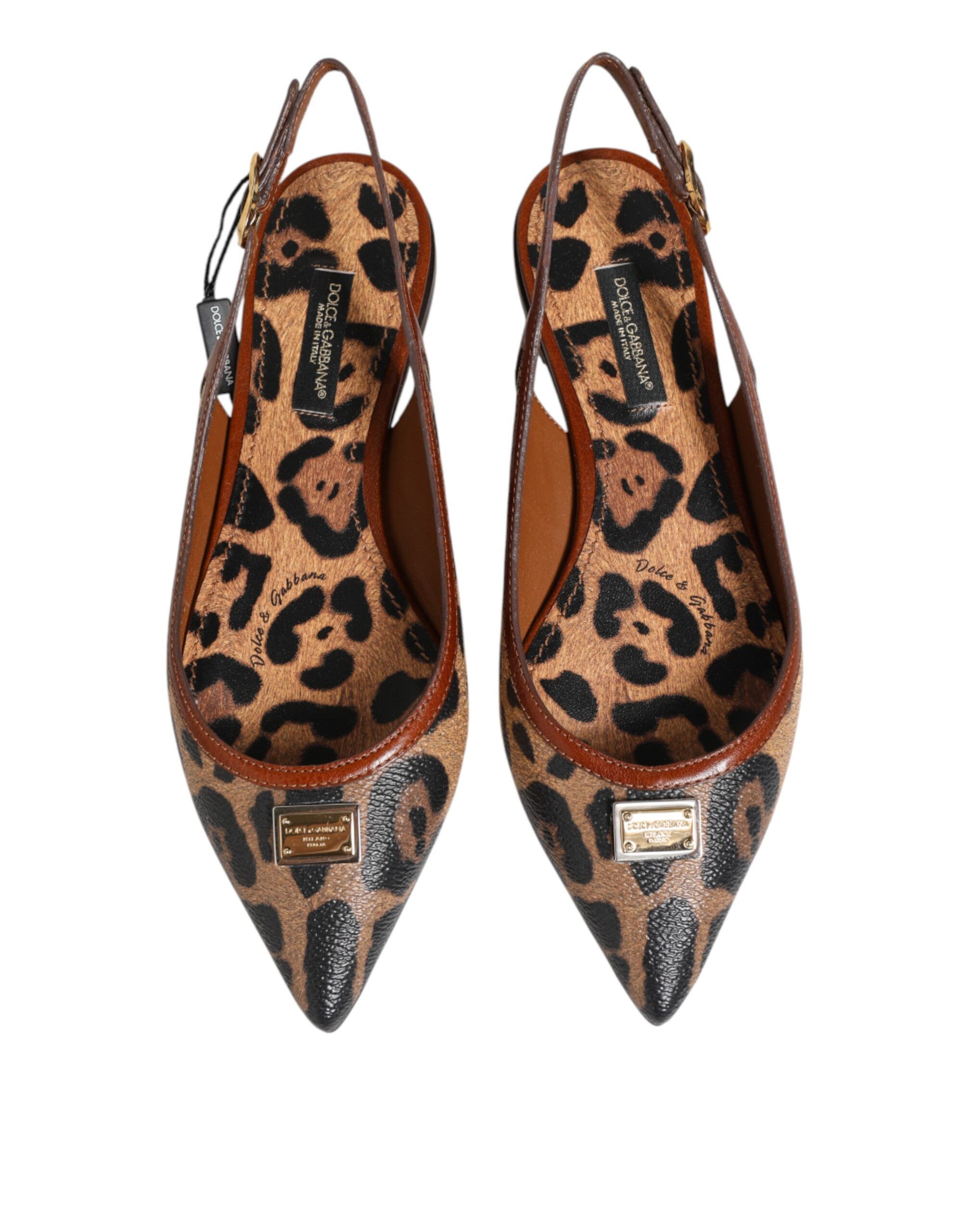 Leopard Slingback Flats Sandals Women's Shoes - Dolce & Gabbana - Modalova