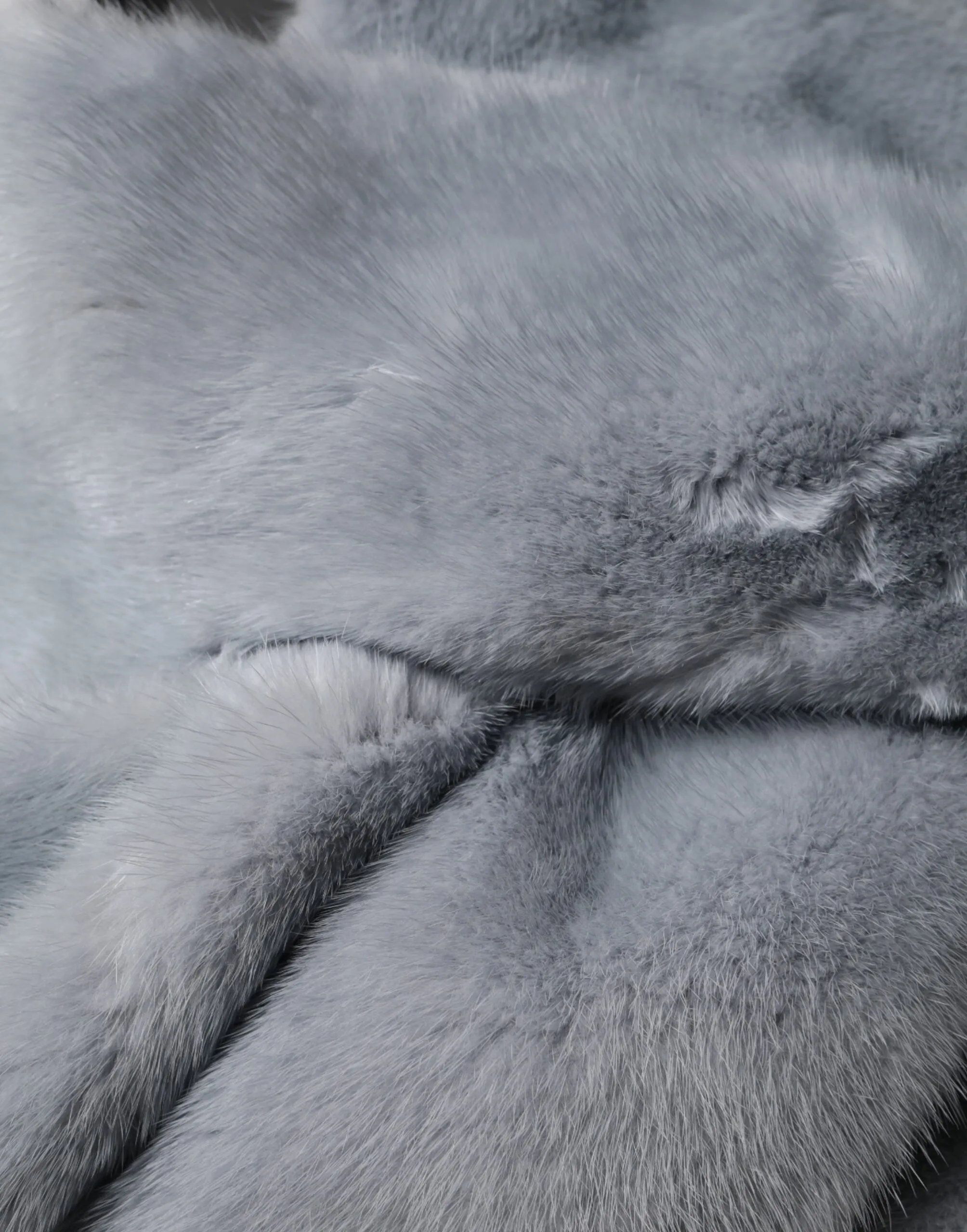 Powder Blue Mink Fur Neck Warmer Women's Scarf - Dolce & Gabbana - Modalova