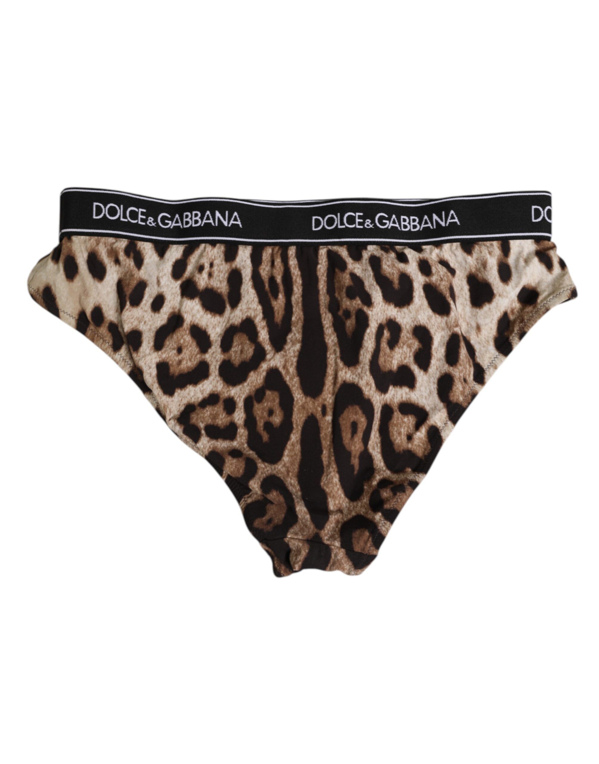 Leopard Nylon High Waist Panty Women's Underwear - Dolce & Gabbana - Modalova