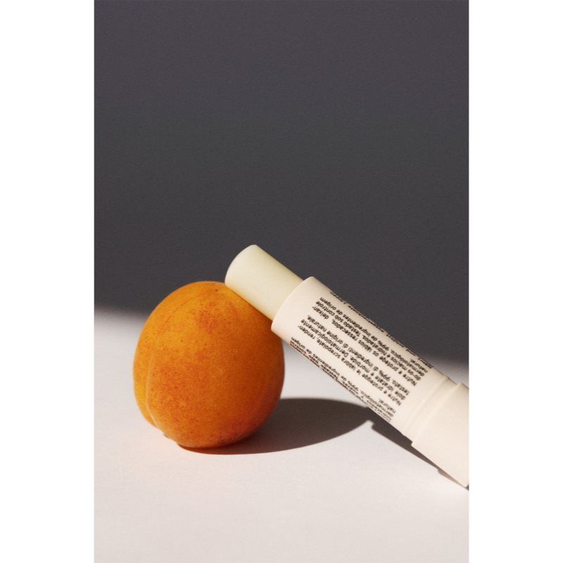 Stick Lèvres bálsamo protector labial con efecto humectante 4 g - Embryolisse - Modalova