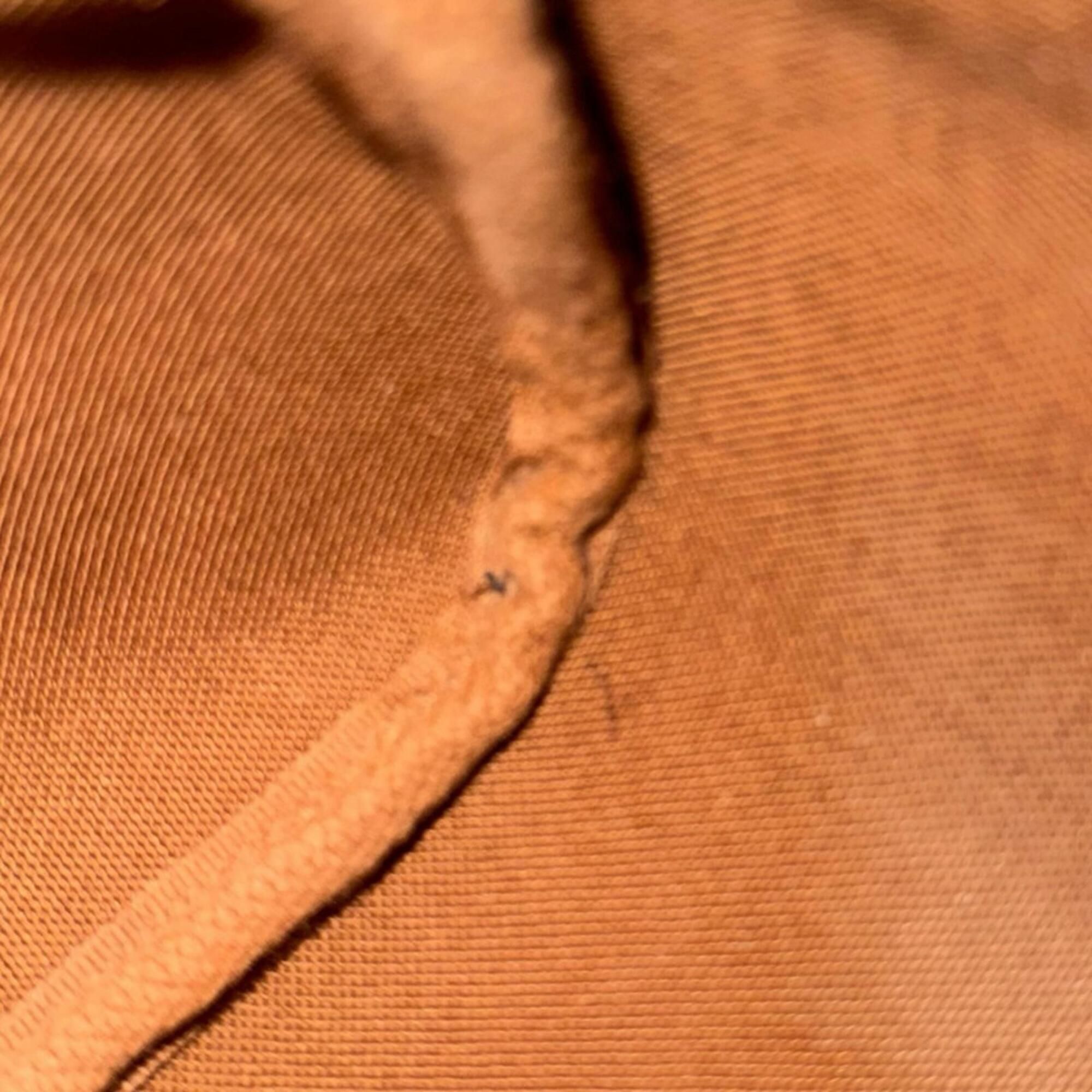Monogram Canvas Shoulder Bag (Pre-Owned) - Louis Vuitton - Modalova
