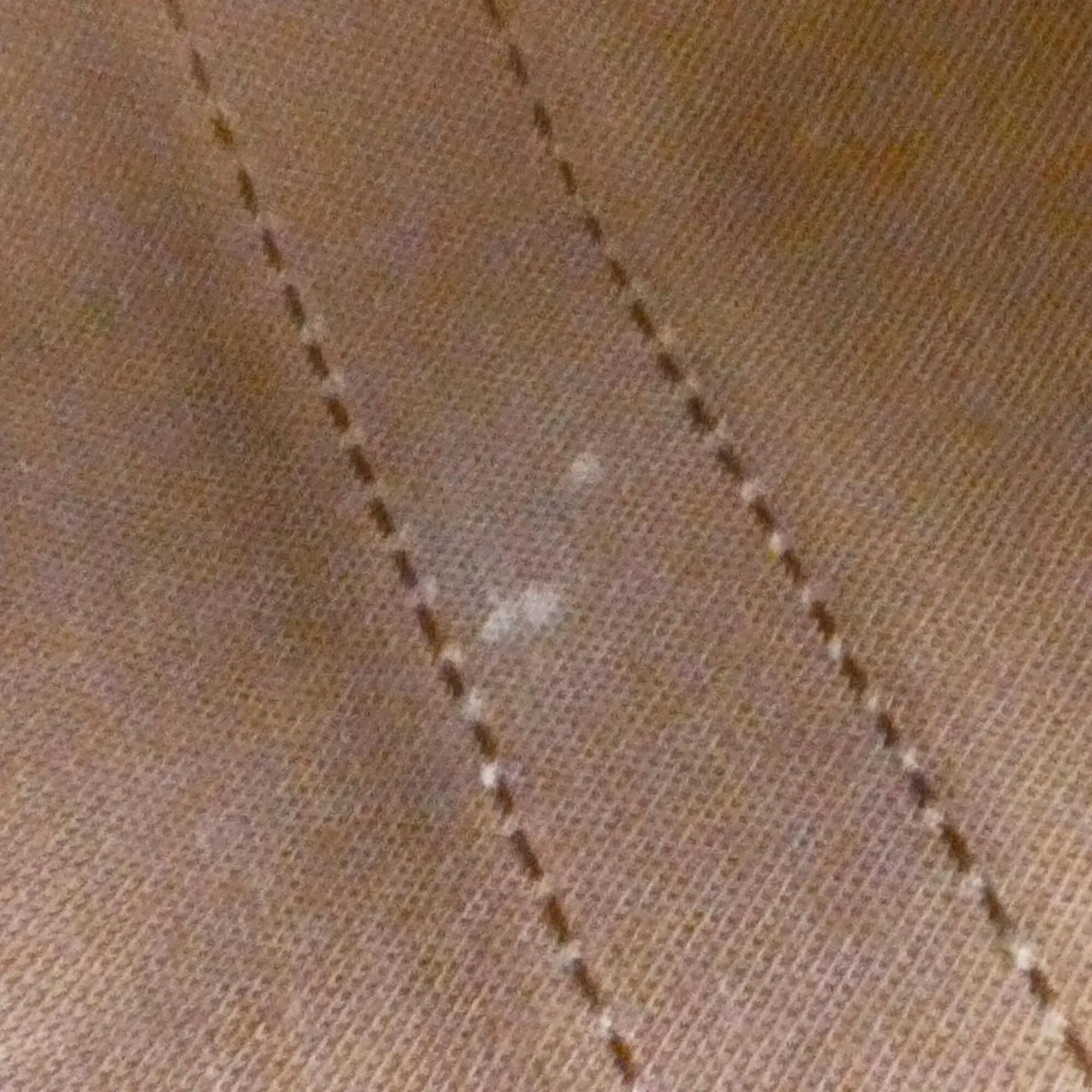 Coated Canvas Boston Bag (Pre-Owned) - Louis Vuitton - Modalova