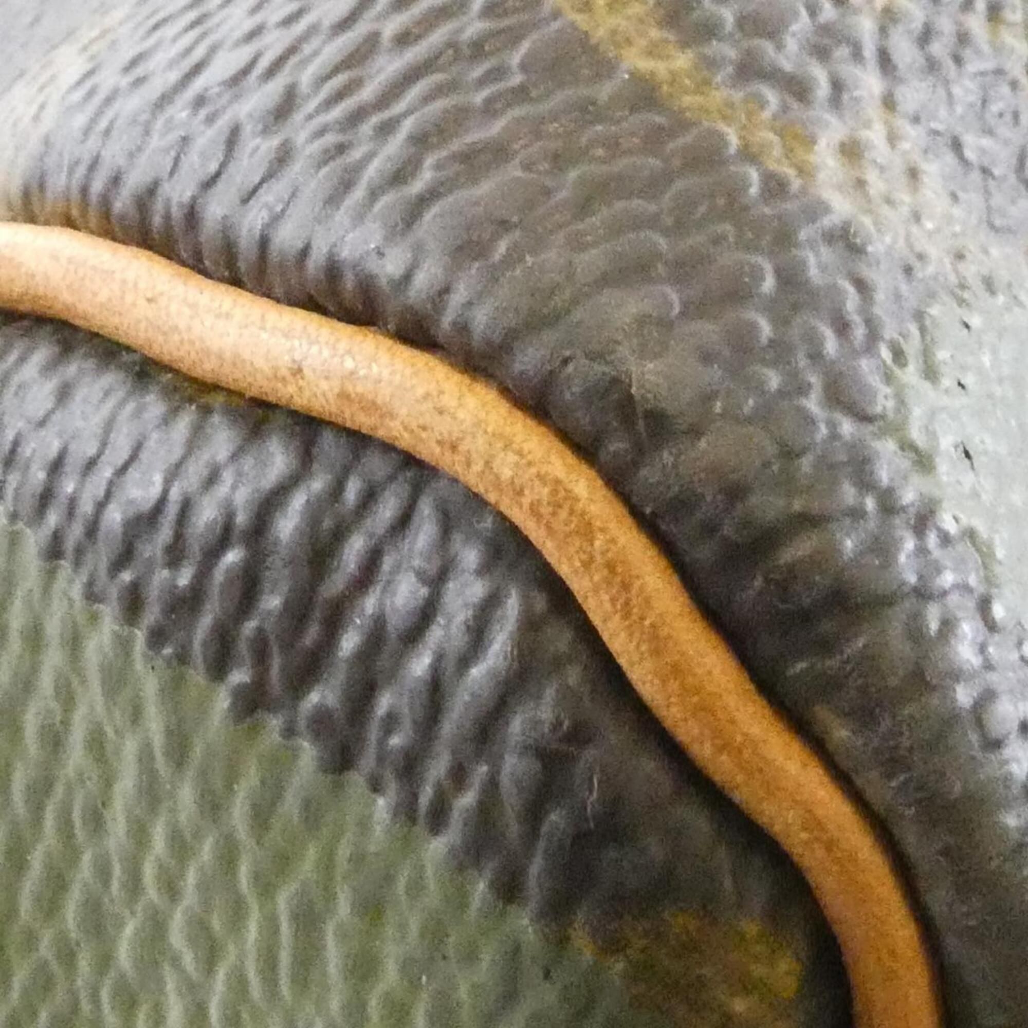 Coated Canvas Boston Bag (Pre-Owned) - Louis Vuitton - Modalova