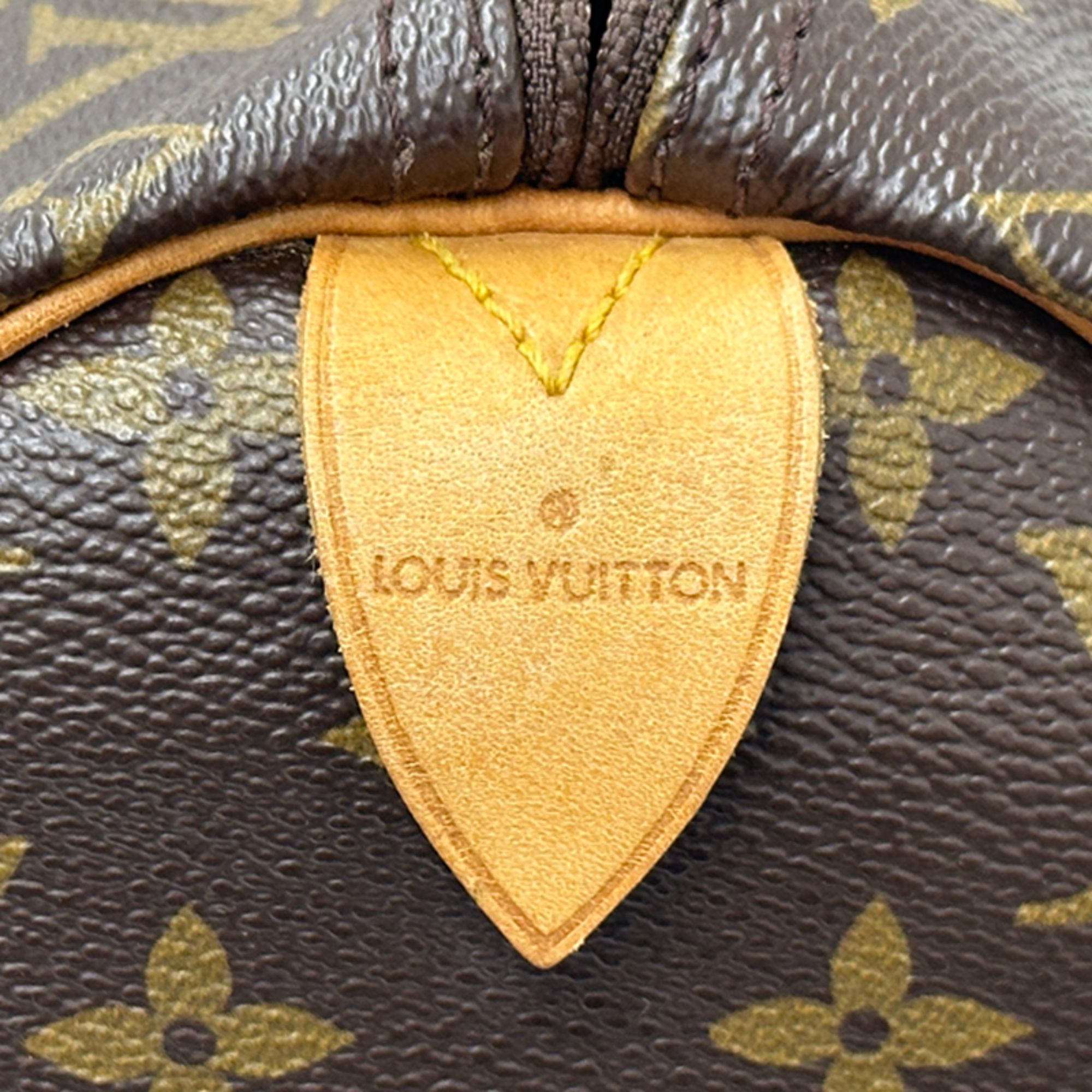 Handbag (Pre-Owned) - Louis Vuitton - Modalova