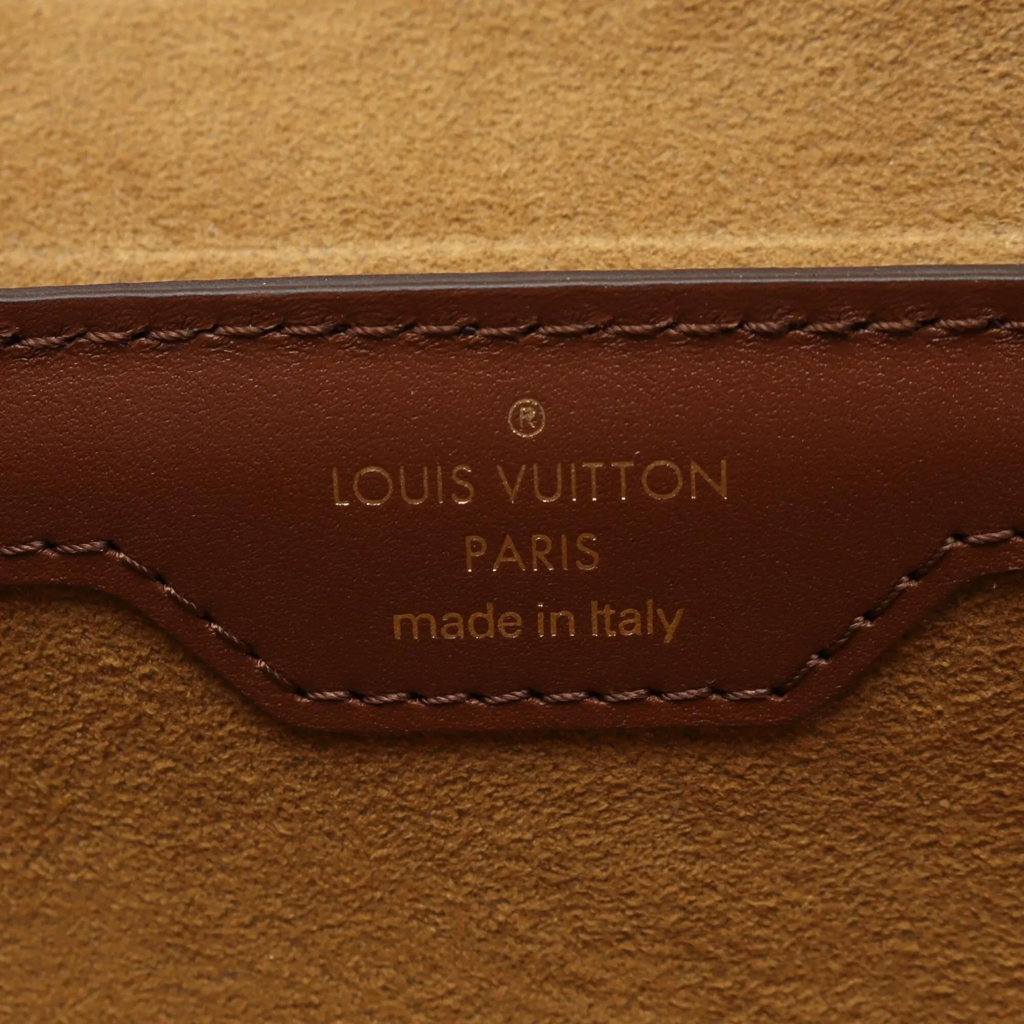 Leather Handbag (Pre-Owned) - Louis Vuitton - Modalova