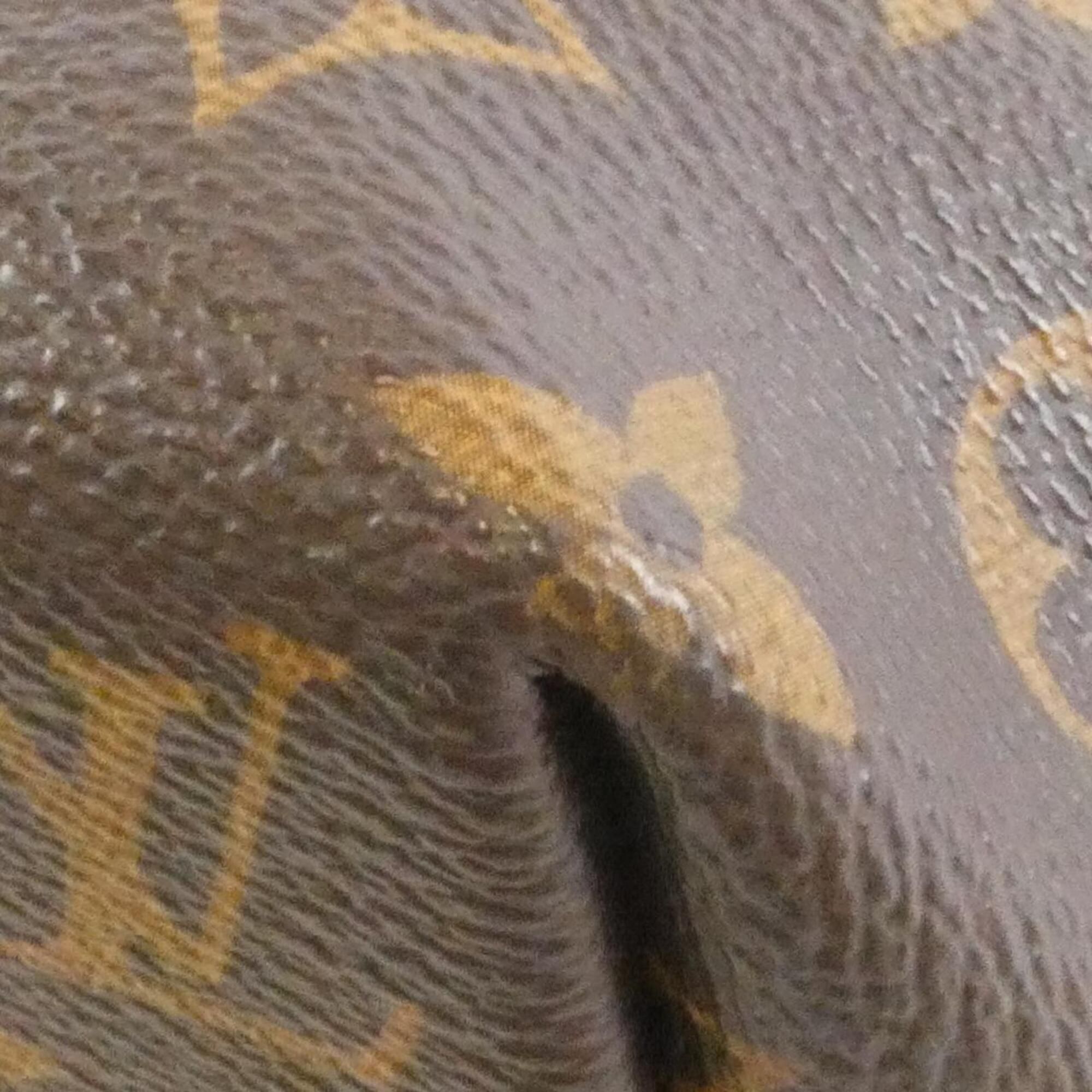 Coated Canvas Handbag (Pre-Owned) - Louis Vuitton - Modalova