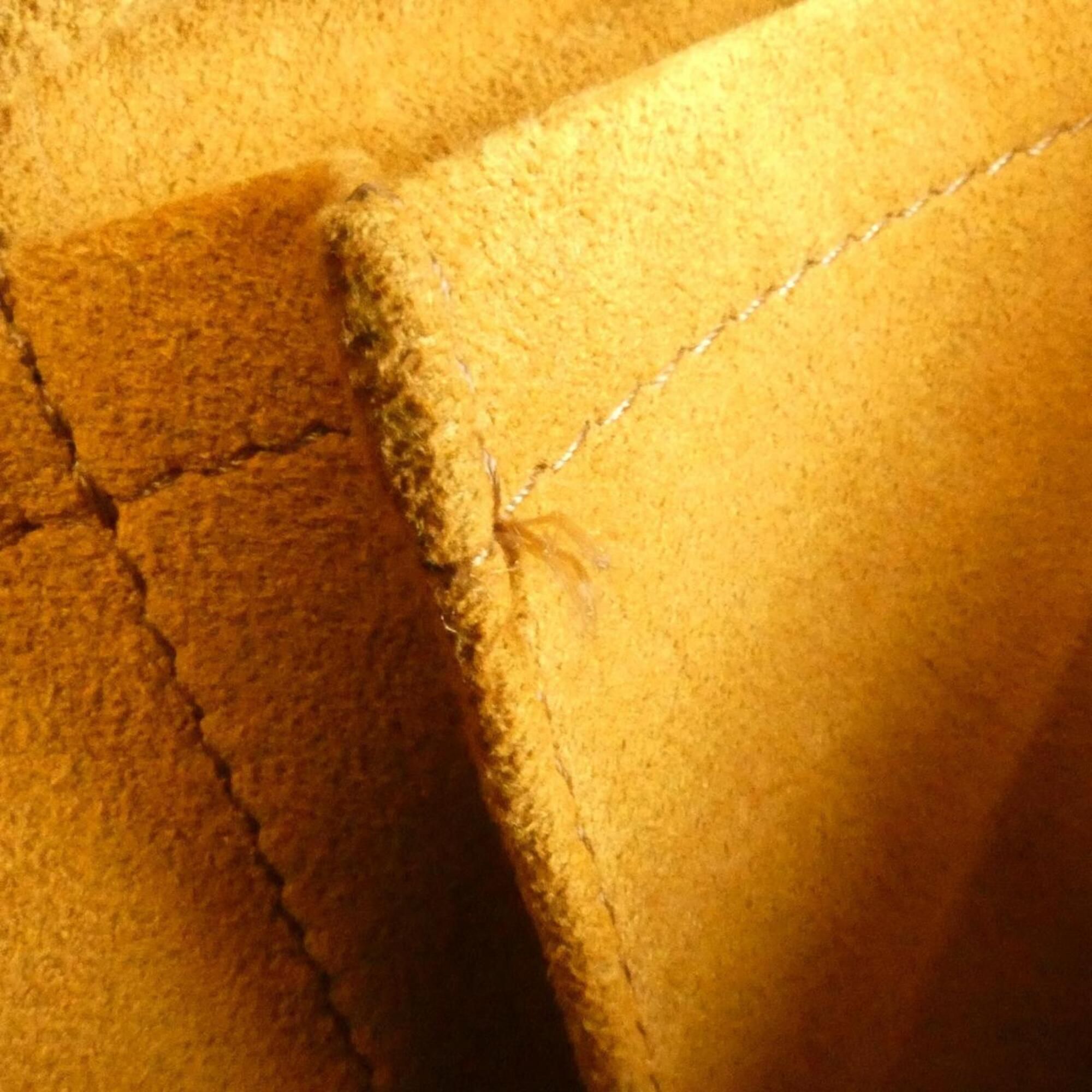 Coated Canvas Shoulder Bag (Pre-Owned) - Louis Vuitton - Modalova