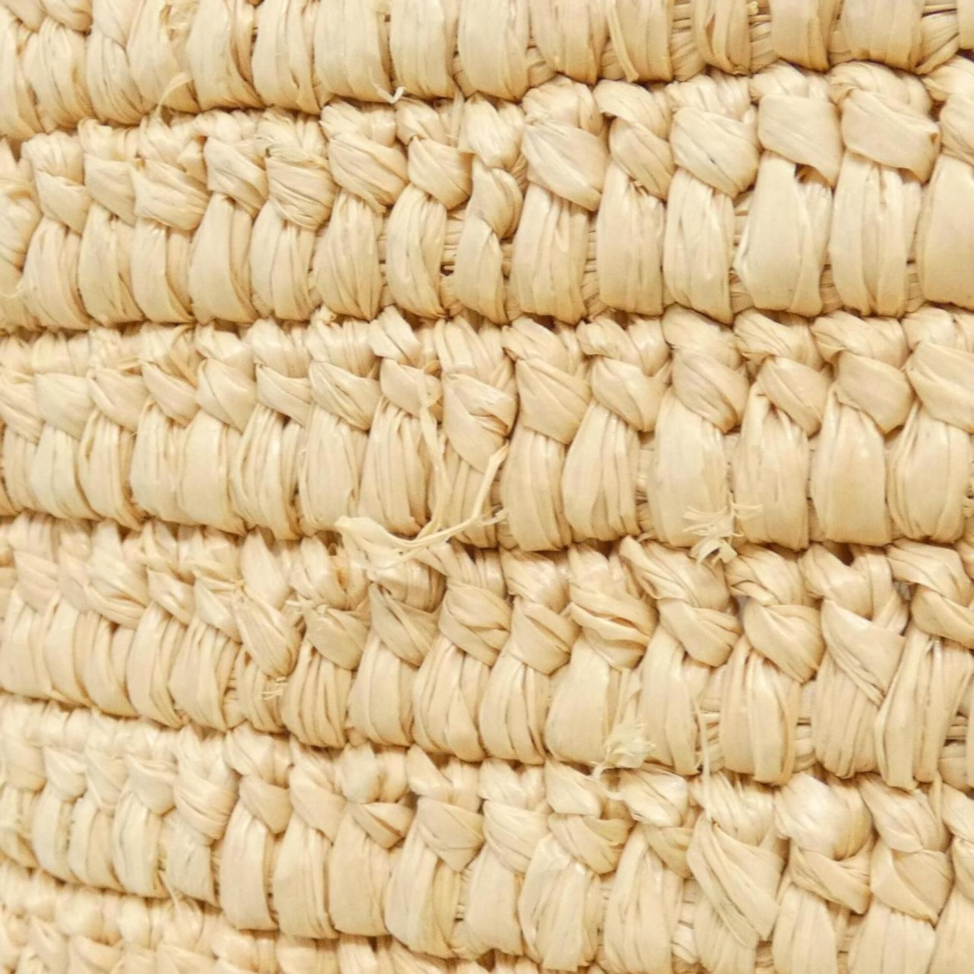 Raffia Handbag (Pre-Owned) - Loewe - Modalova