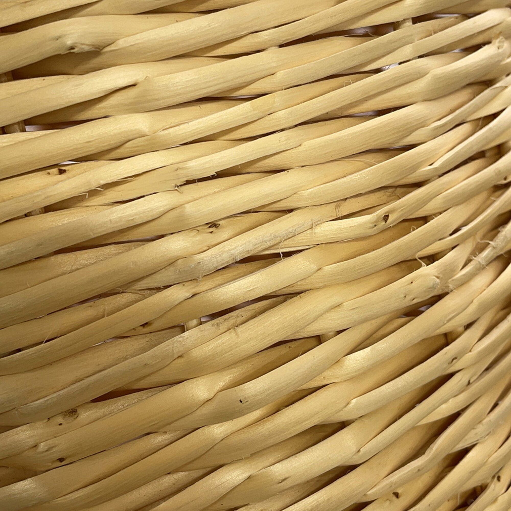 Raffia Leather Basket Handbag (Pre-Owned) - Celine - Modalova