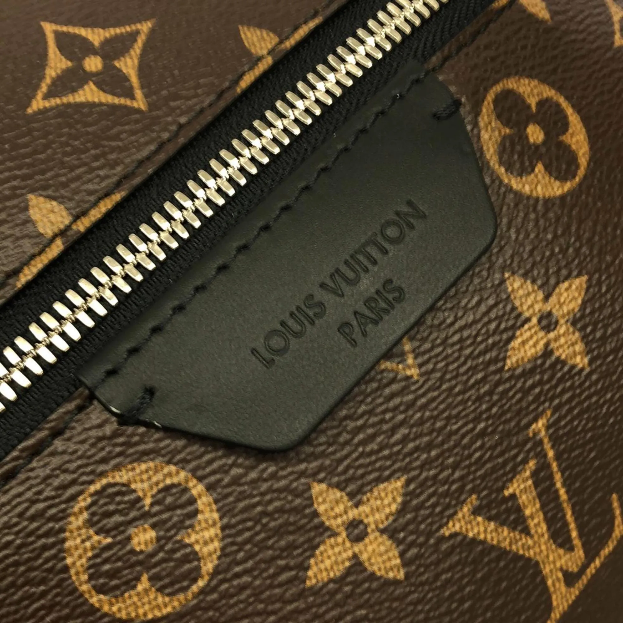 Monogram Macassar Coated Canvas Backpack (Pre-Owned) - Louis Vuitton - Modalova