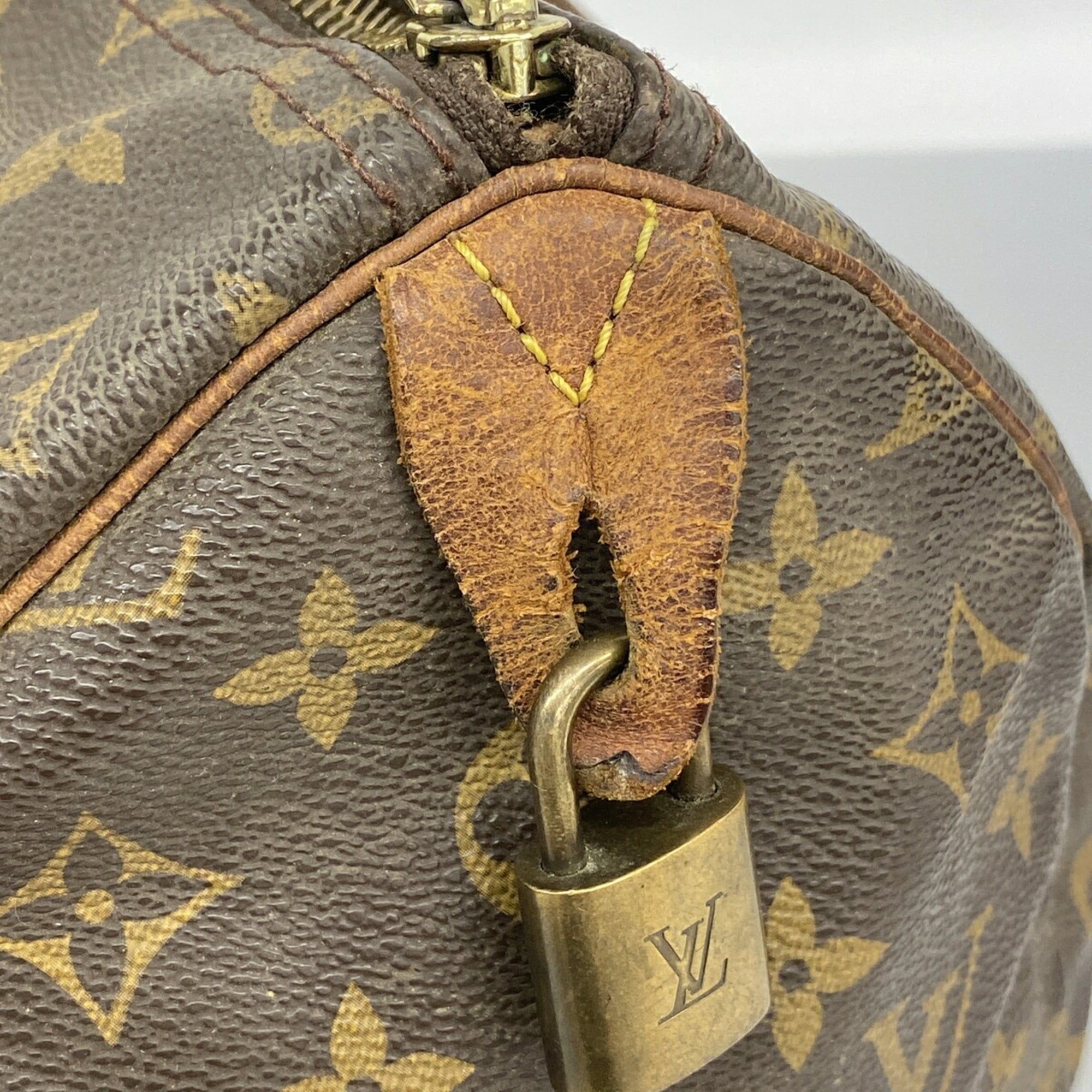 Handbag (Pre-Owned) - Louis Vuitton - Modalova