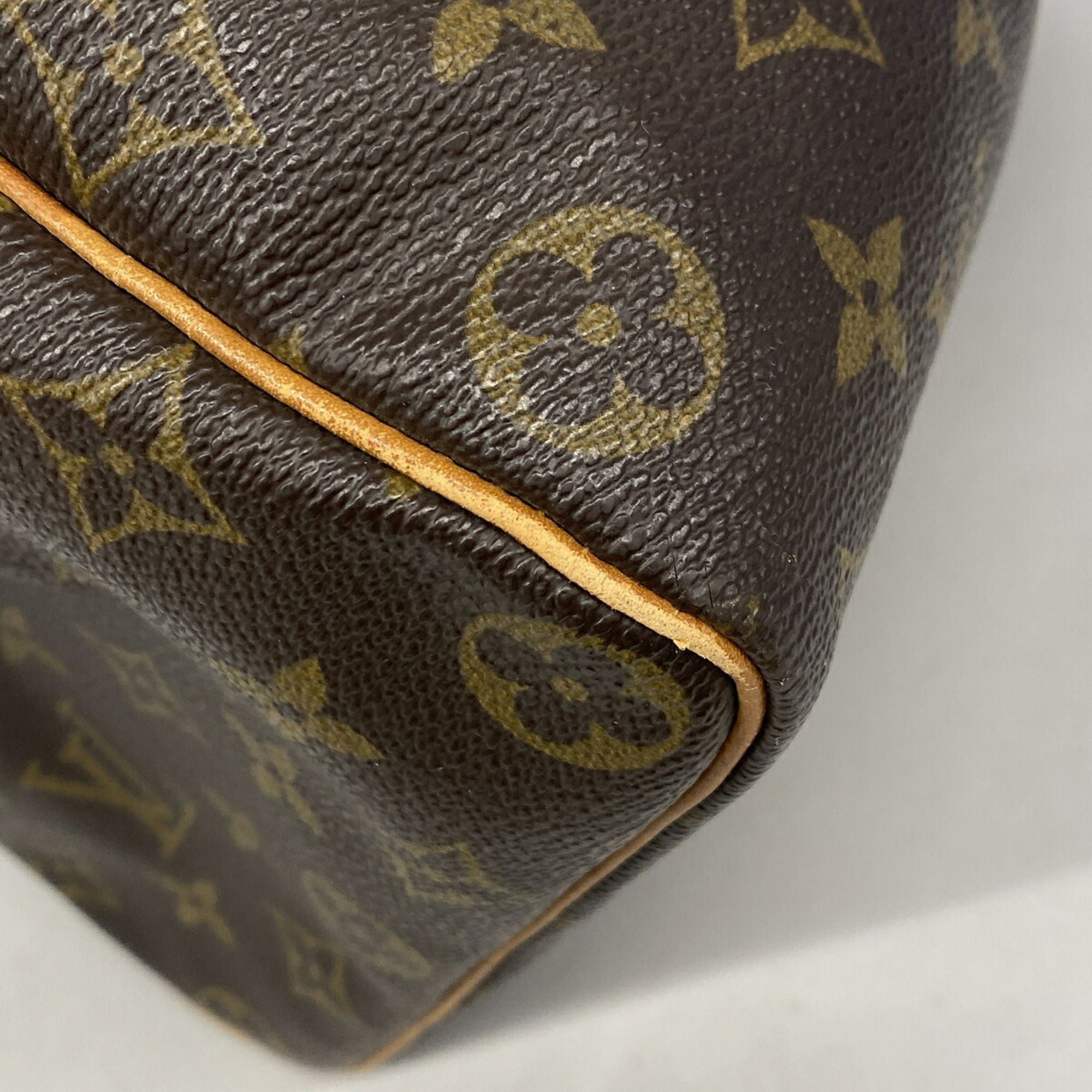 Handbag (Pre-Owned) - Louis Vuitton - Modalova
