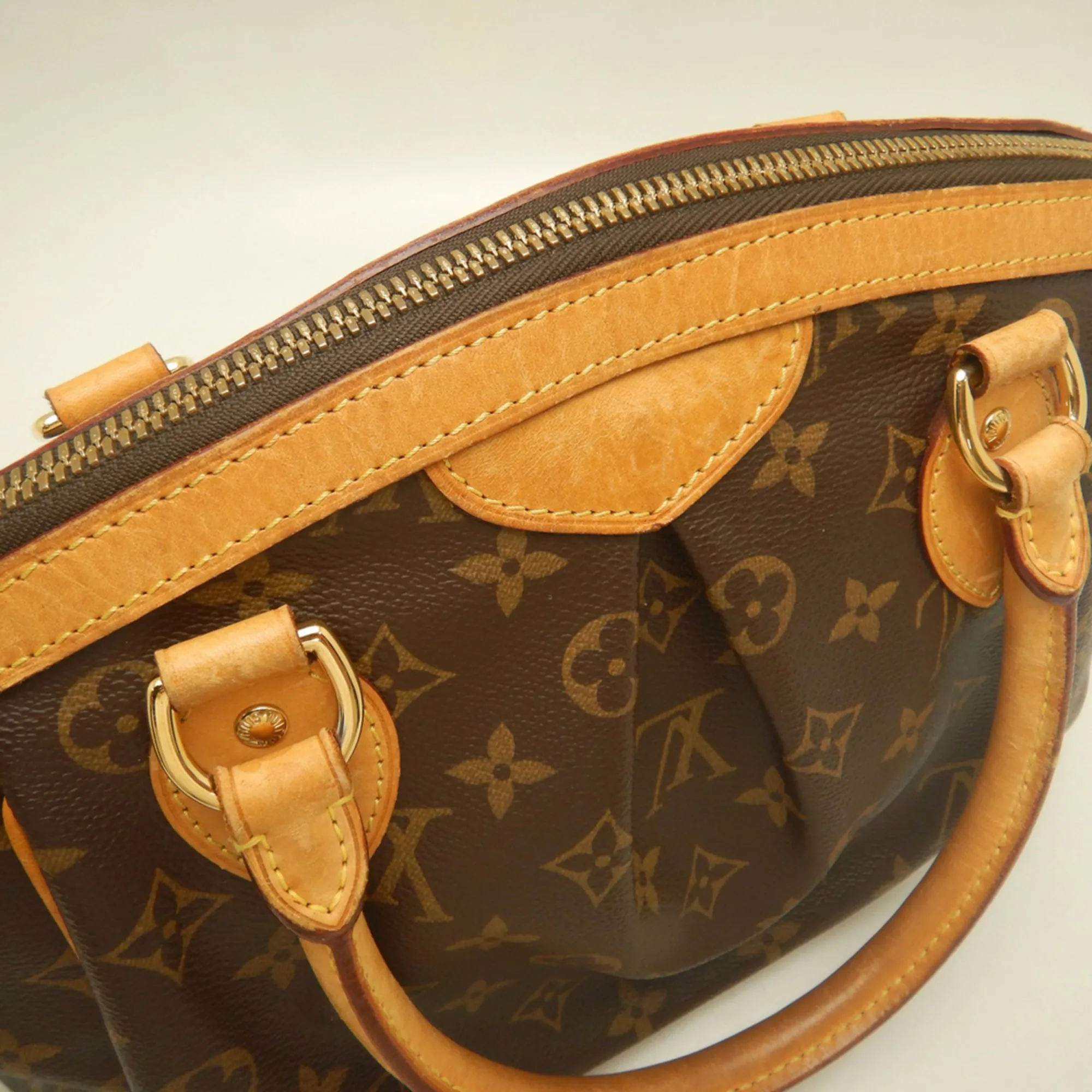 Handbag (Pre-Owned) - Louis Vuitton - Modalova