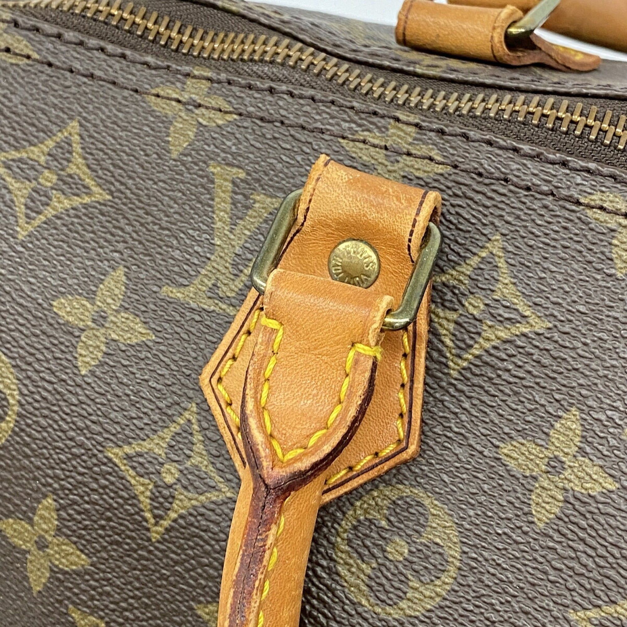 Handbag (Pre-Owned) - Louis Vuitton - Modalova