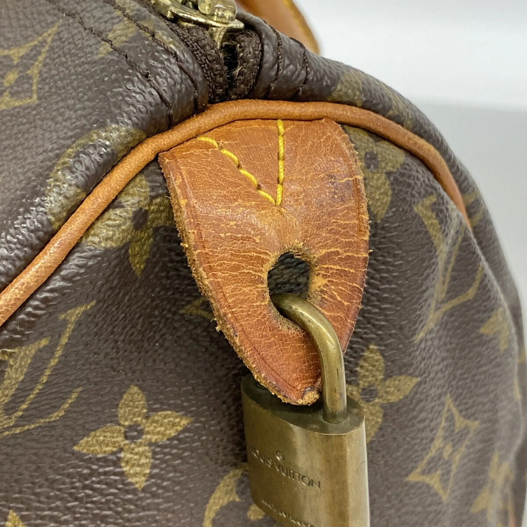 Handbag (Pre-Owned) - Louis Vuitton - Modalova
