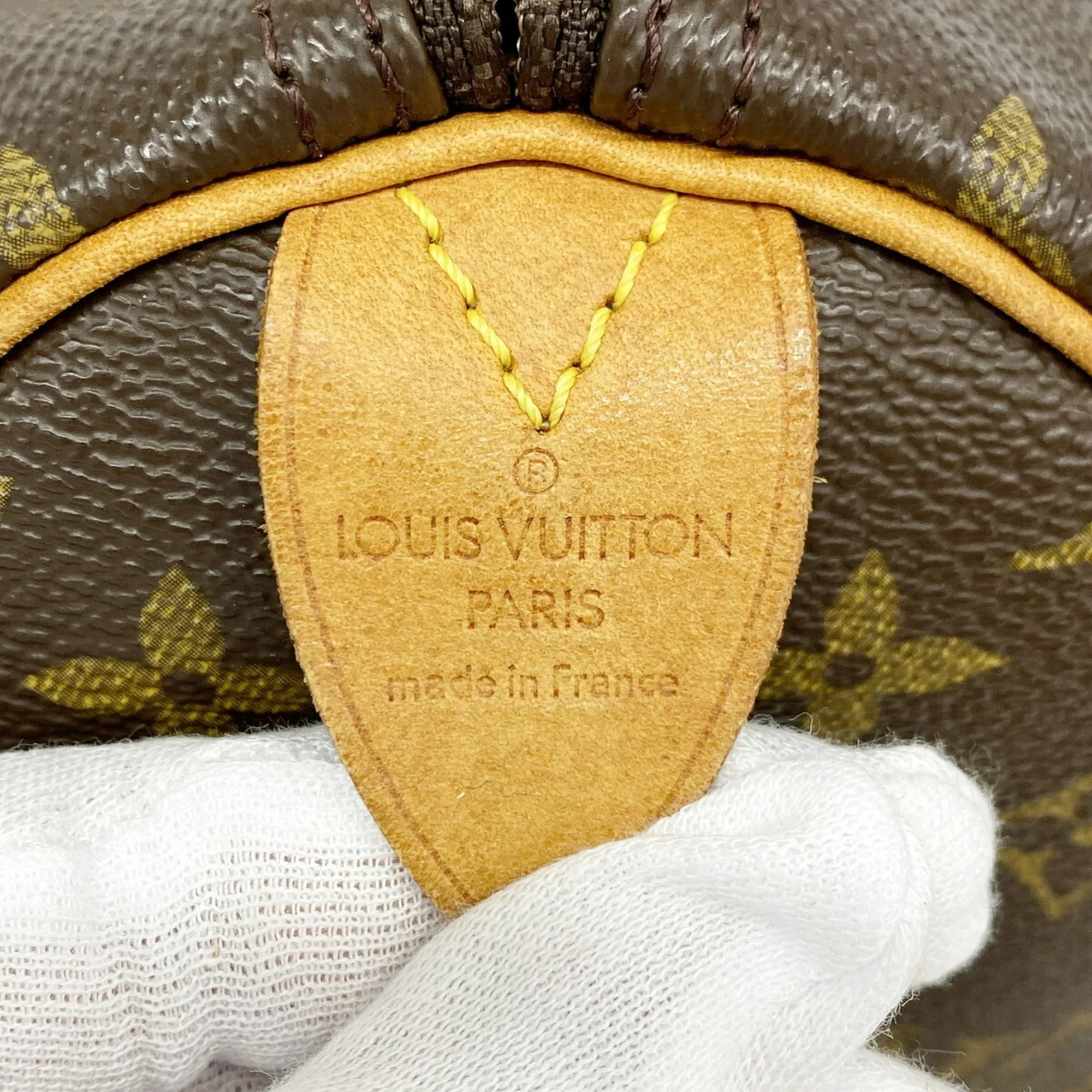 Handbag (Pre-Owned) - Louis Vuitton - Modalova