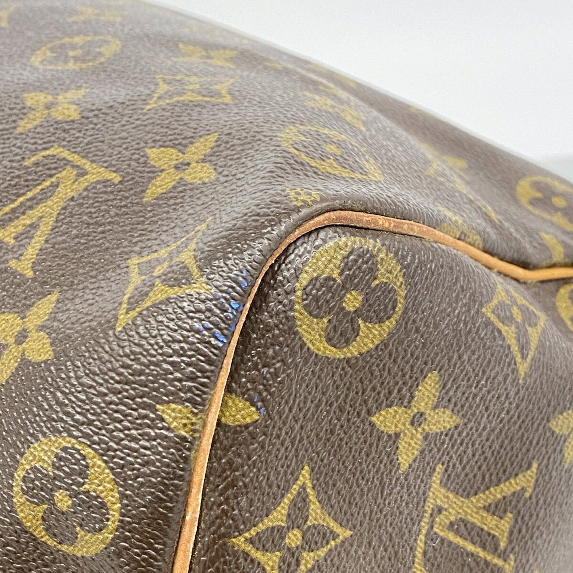 Handbag (Pre-Owned) - Louis Vuitton - Modalova