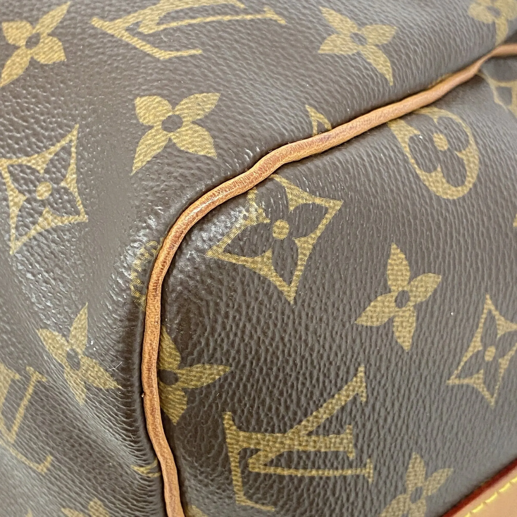 Handbag (Pre-Owned) - Louis Vuitton - Modalova