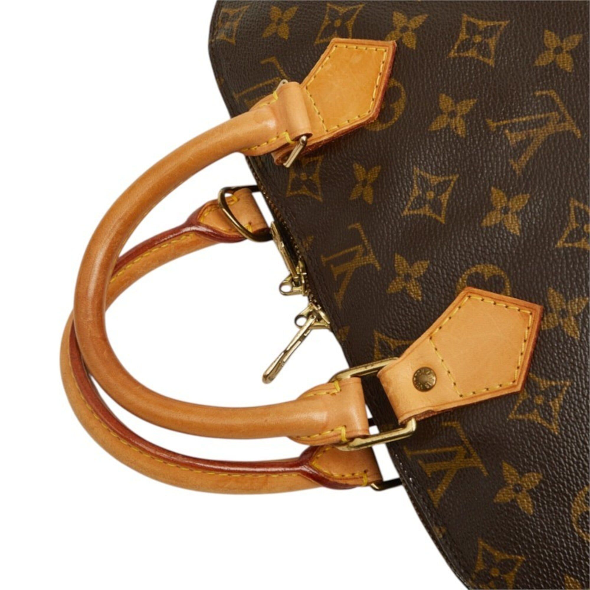 Handbag (Pre-Owned) - Louis Vuitton - Modalova