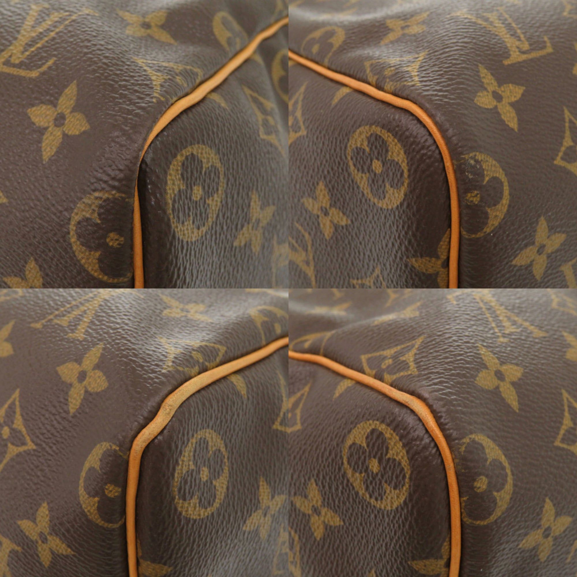Handbag (Pre-Owned) - Louis Vuitton - Modalova