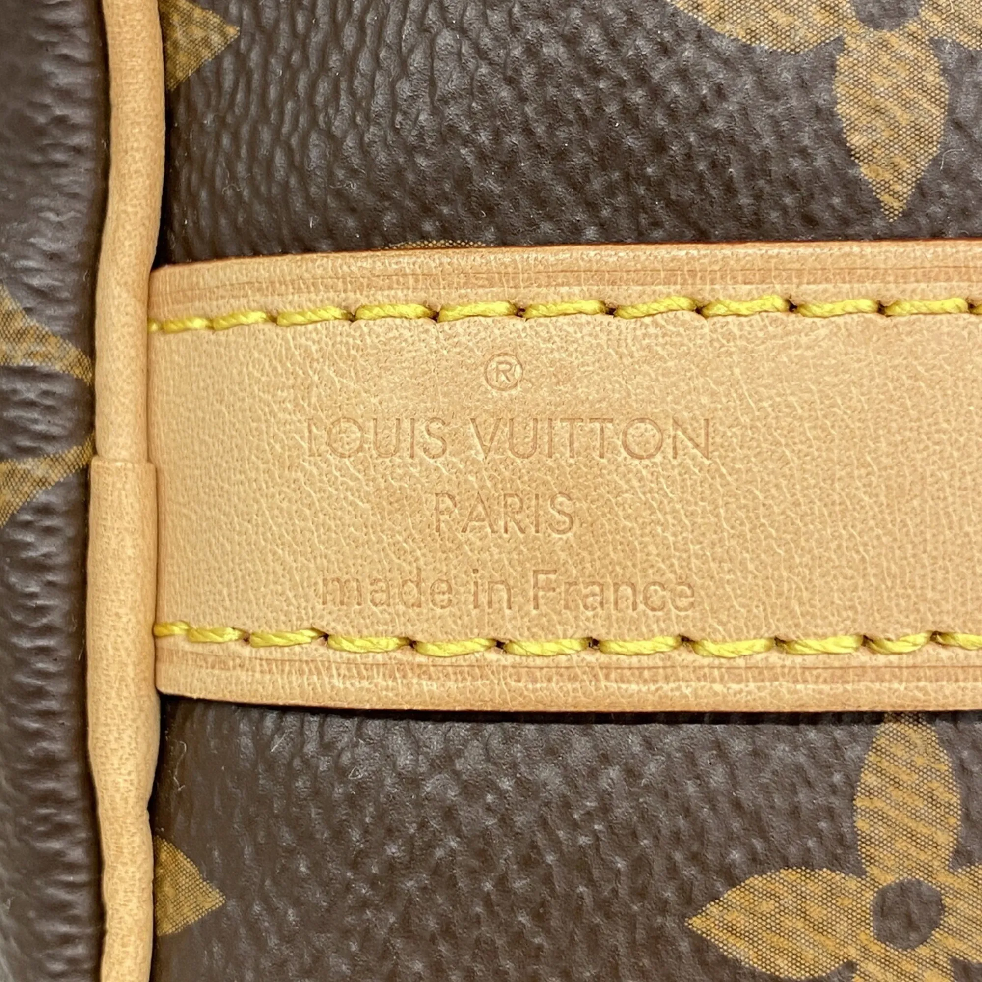 Handbag (Pre-Owned) - Louis Vuitton - Modalova