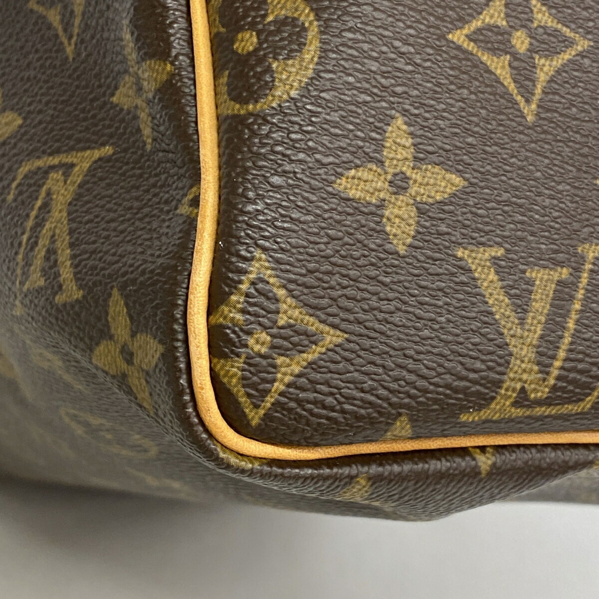 Handbag (Pre-Owned) - Louis Vuitton - Modalova