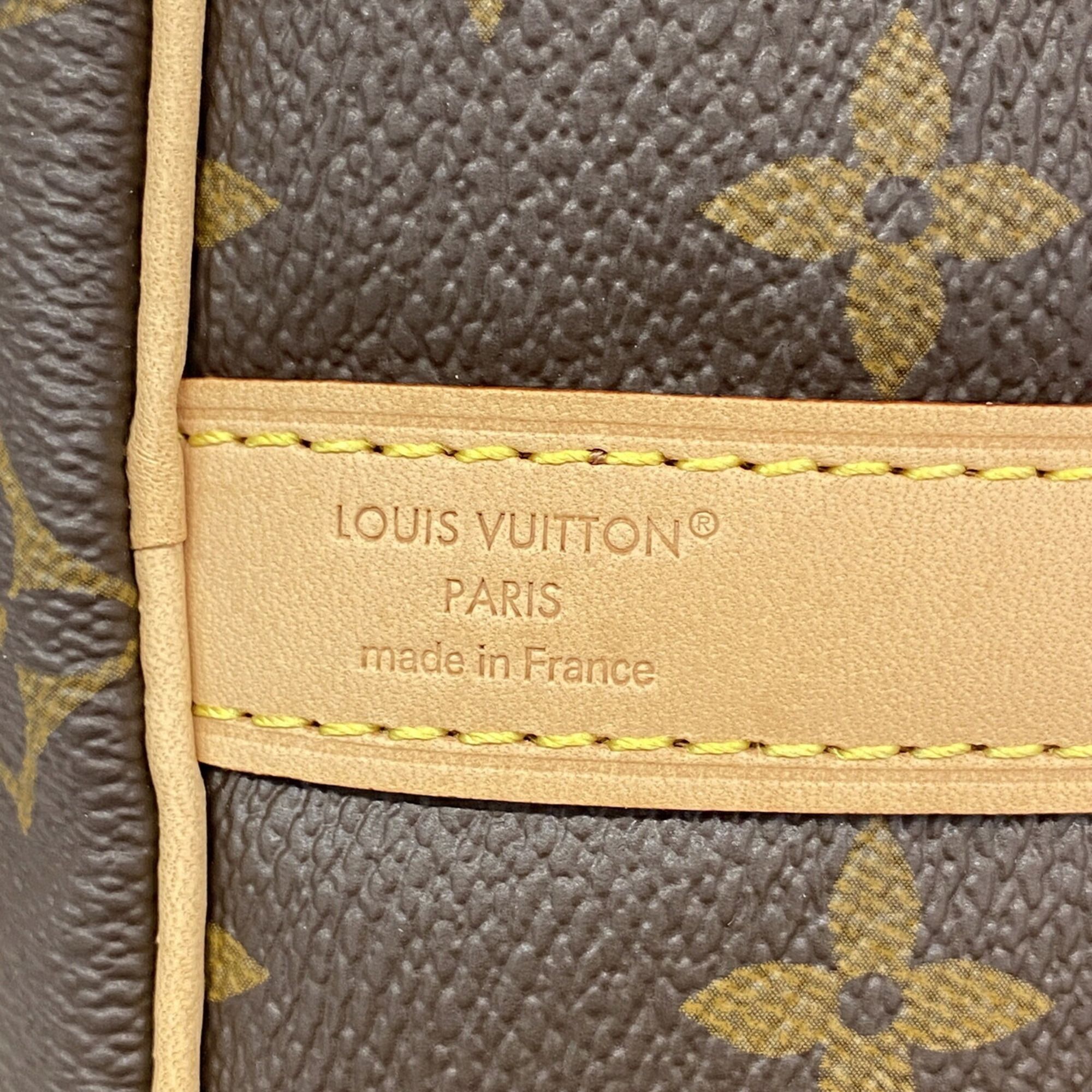 Handbag (Pre-Owned) - Louis Vuitton - Modalova