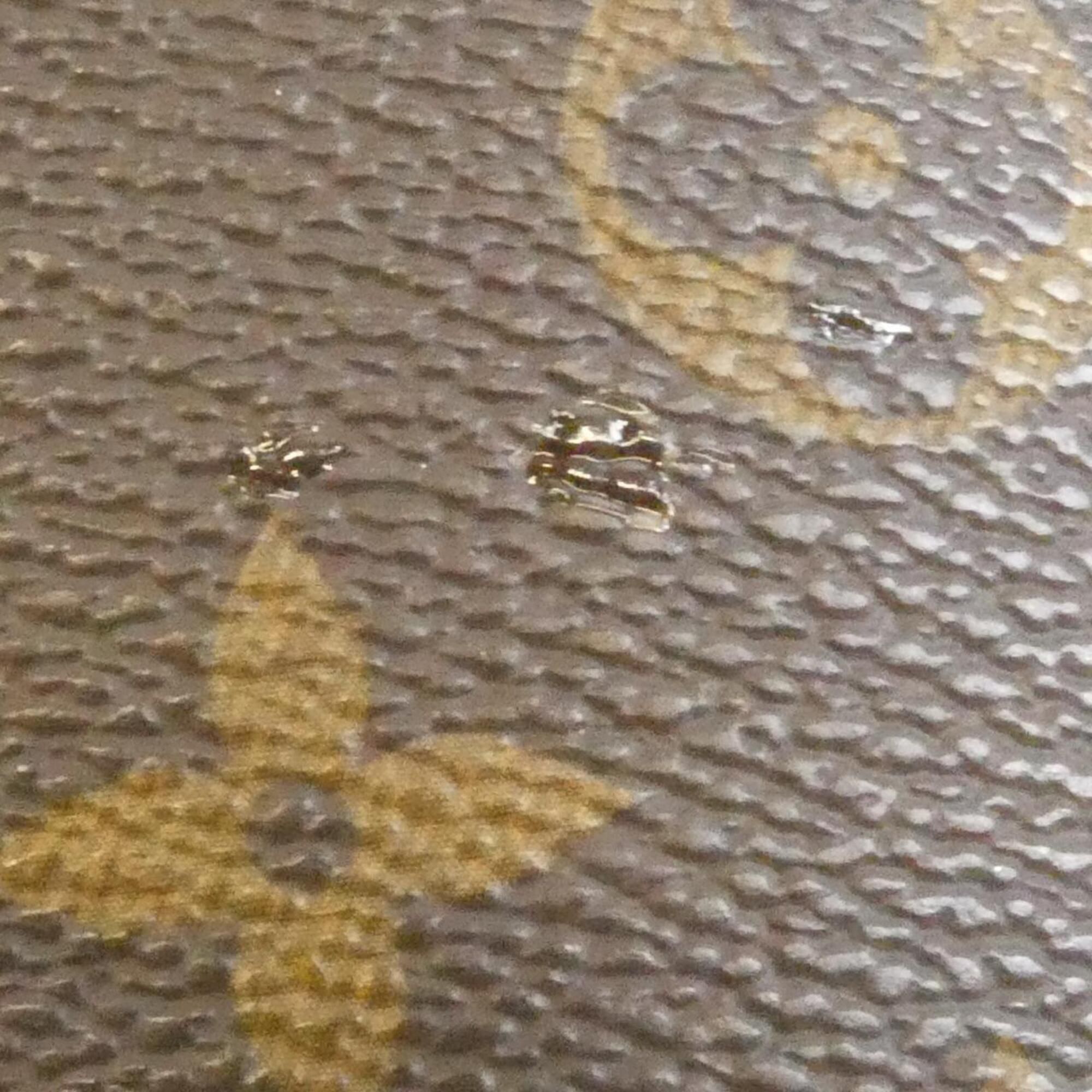 Handbag (Pre-Owned) - Louis Vuitton - Modalova