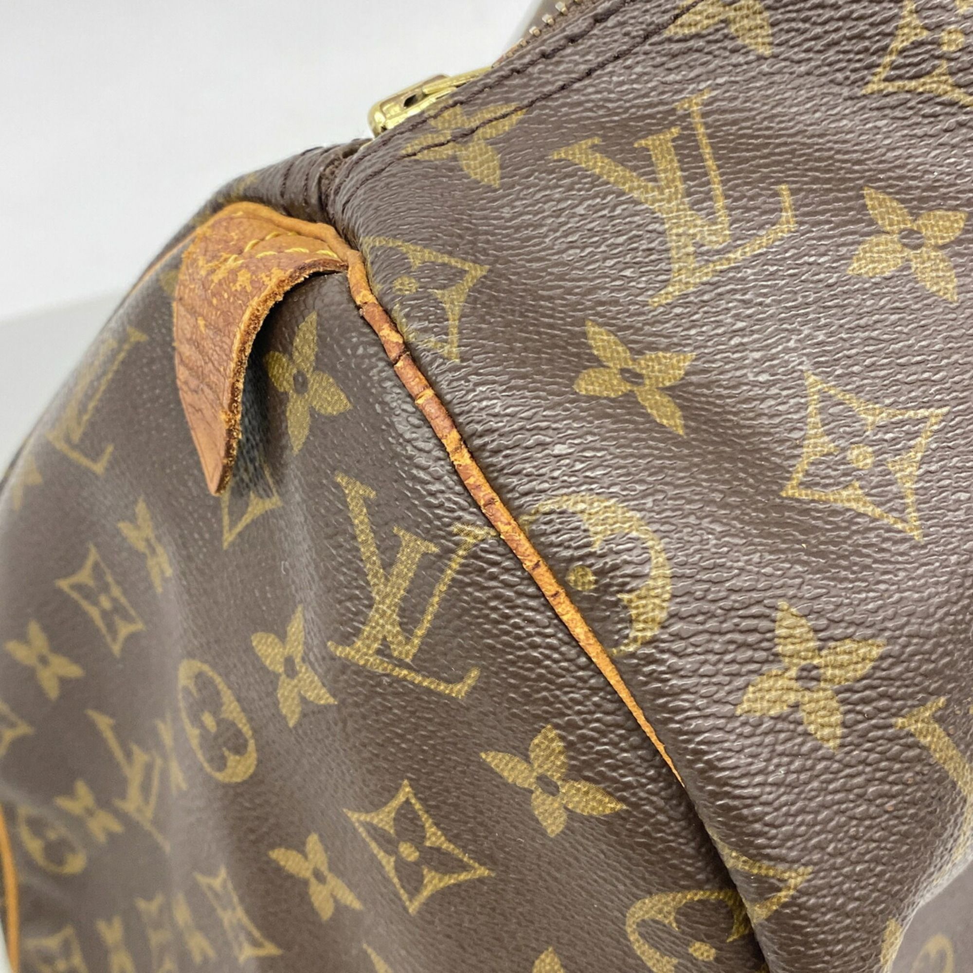 Handbag (Pre-Owned) - Louis Vuitton - Modalova