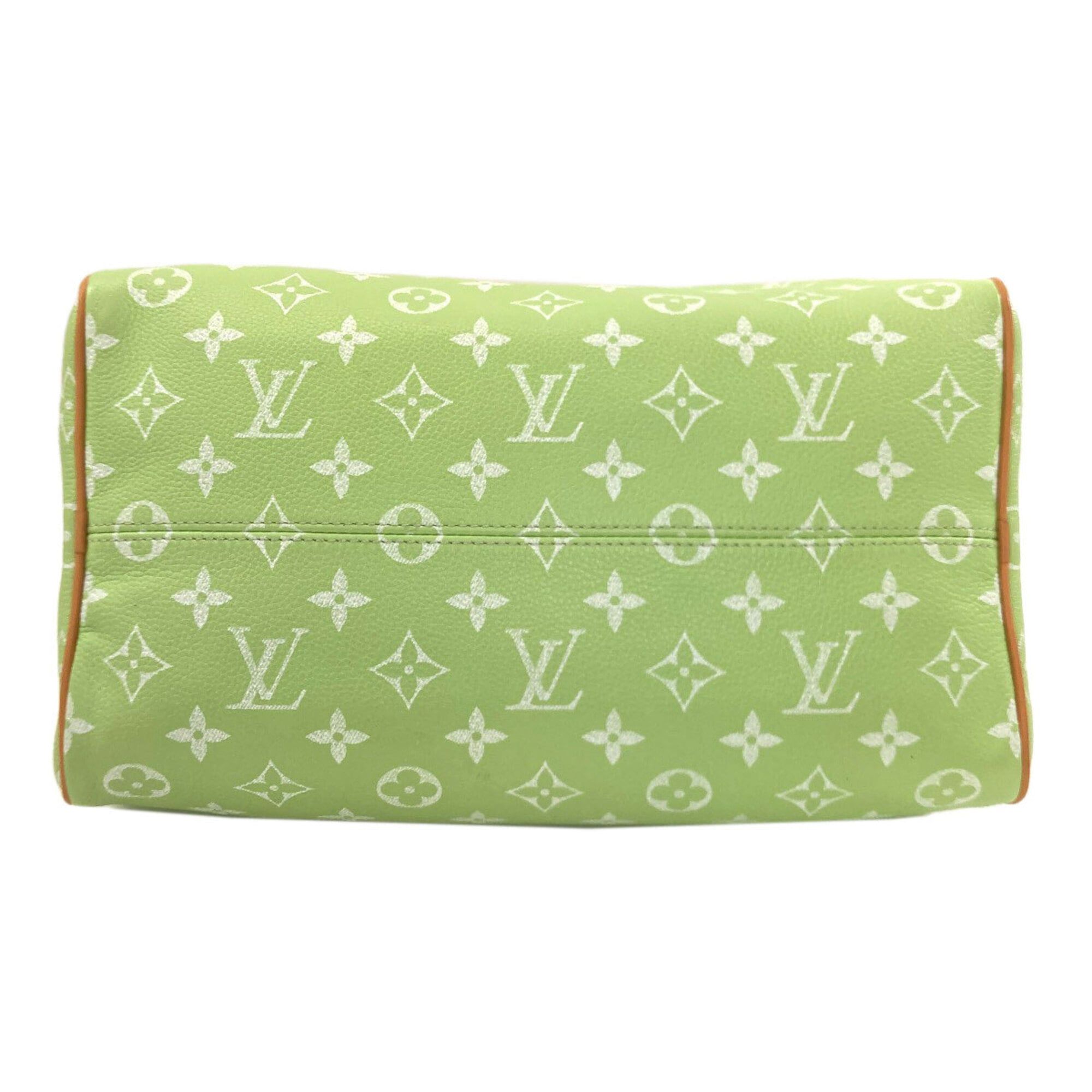 Canvas Leather Handbag (Pre-Owned) - Louis Vuitton - Modalova