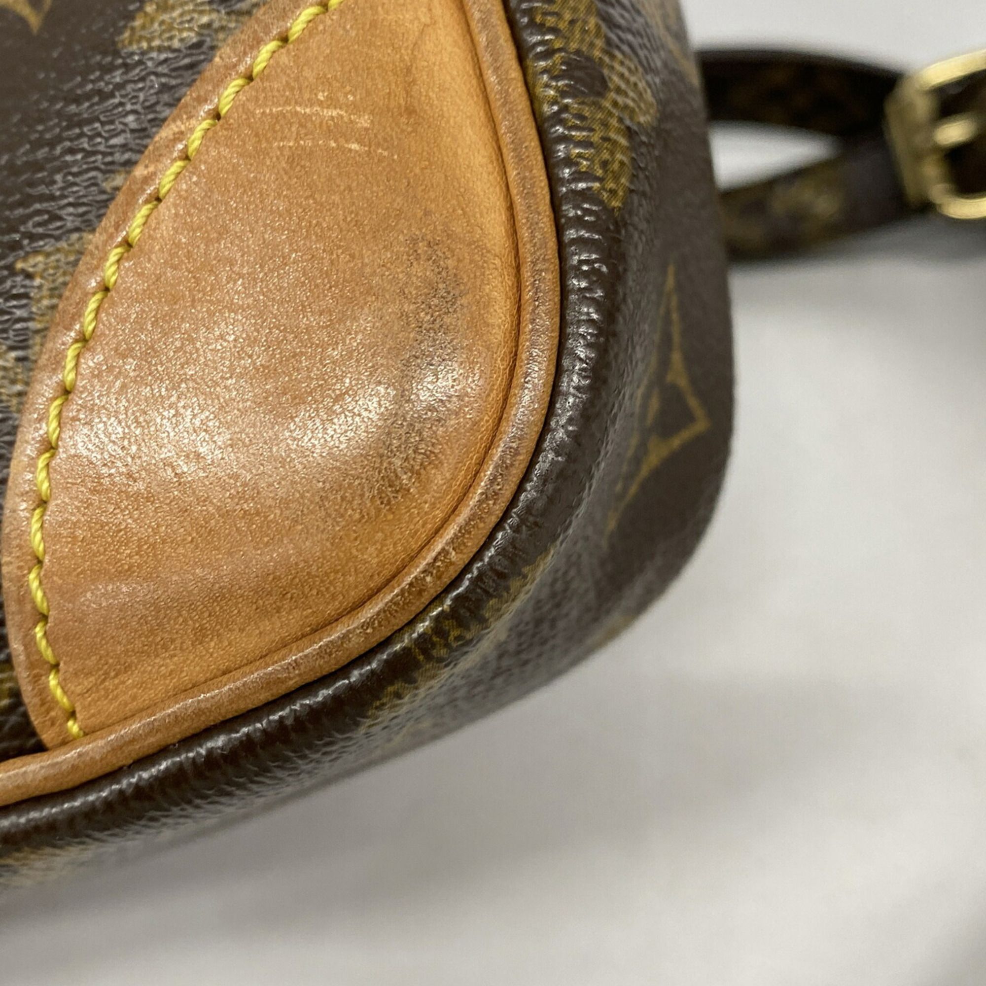 Shoulder Bag (Pre-Owned) - Louis Vuitton - Modalova