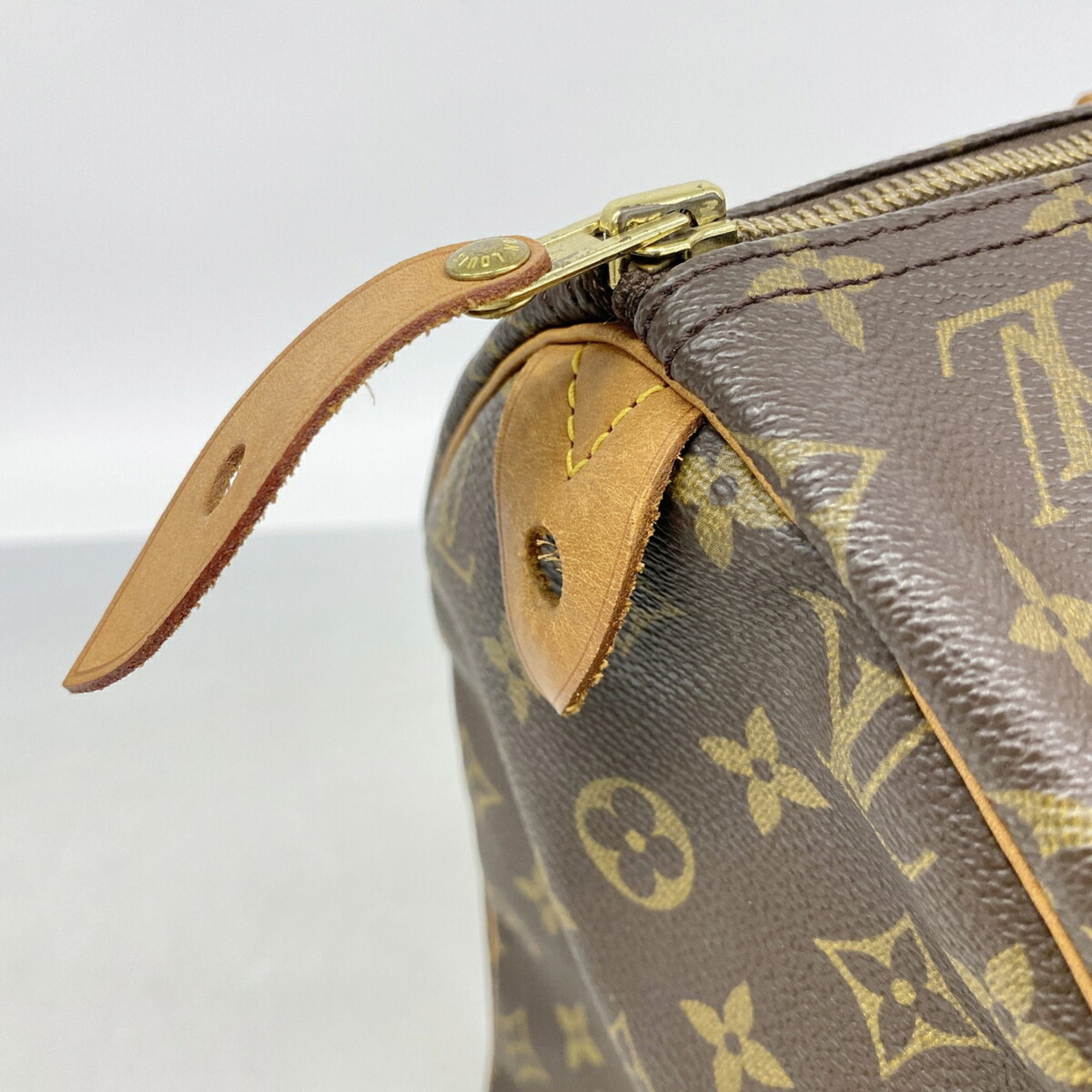 Handbag (Pre-Owned) - Louis Vuitton - Modalova