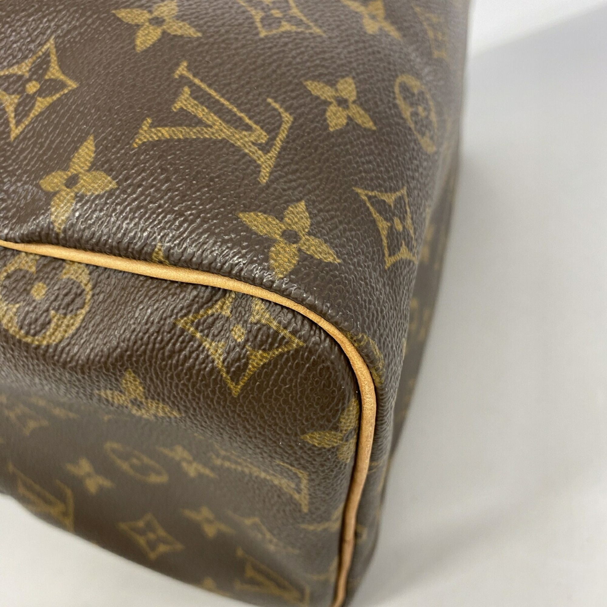Handbag (Pre-Owned) - Louis Vuitton - Modalova