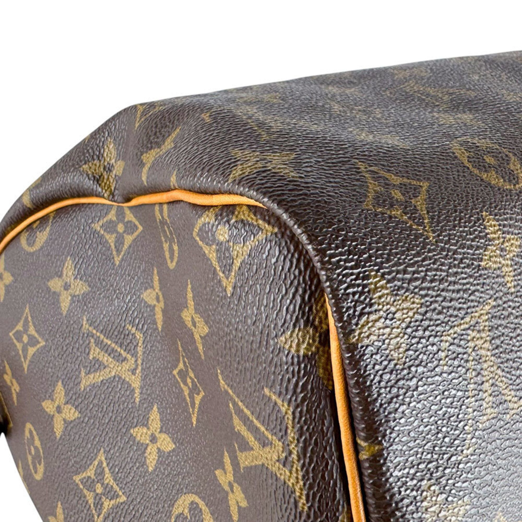 Handbag (Pre-Owned) - Louis Vuitton - Modalova