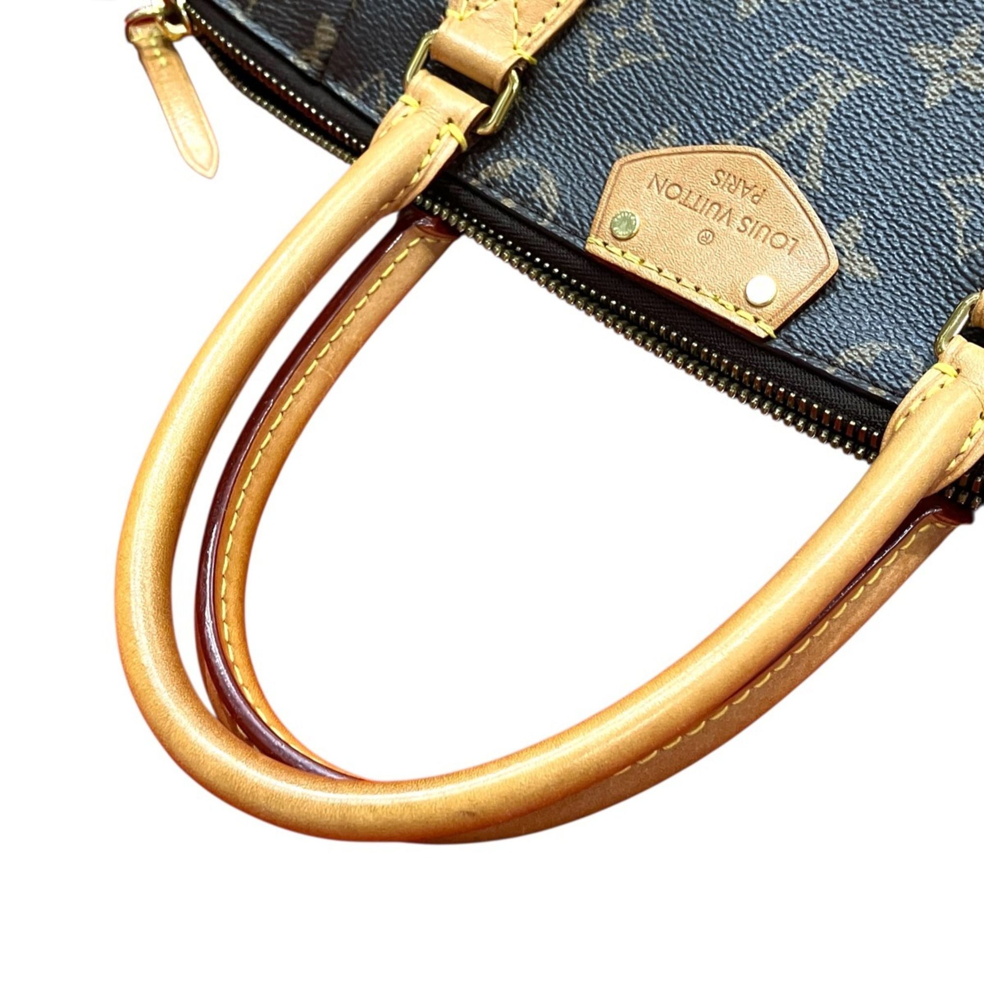 Handbag (Pre-Owned) - Louis Vuitton - Modalova