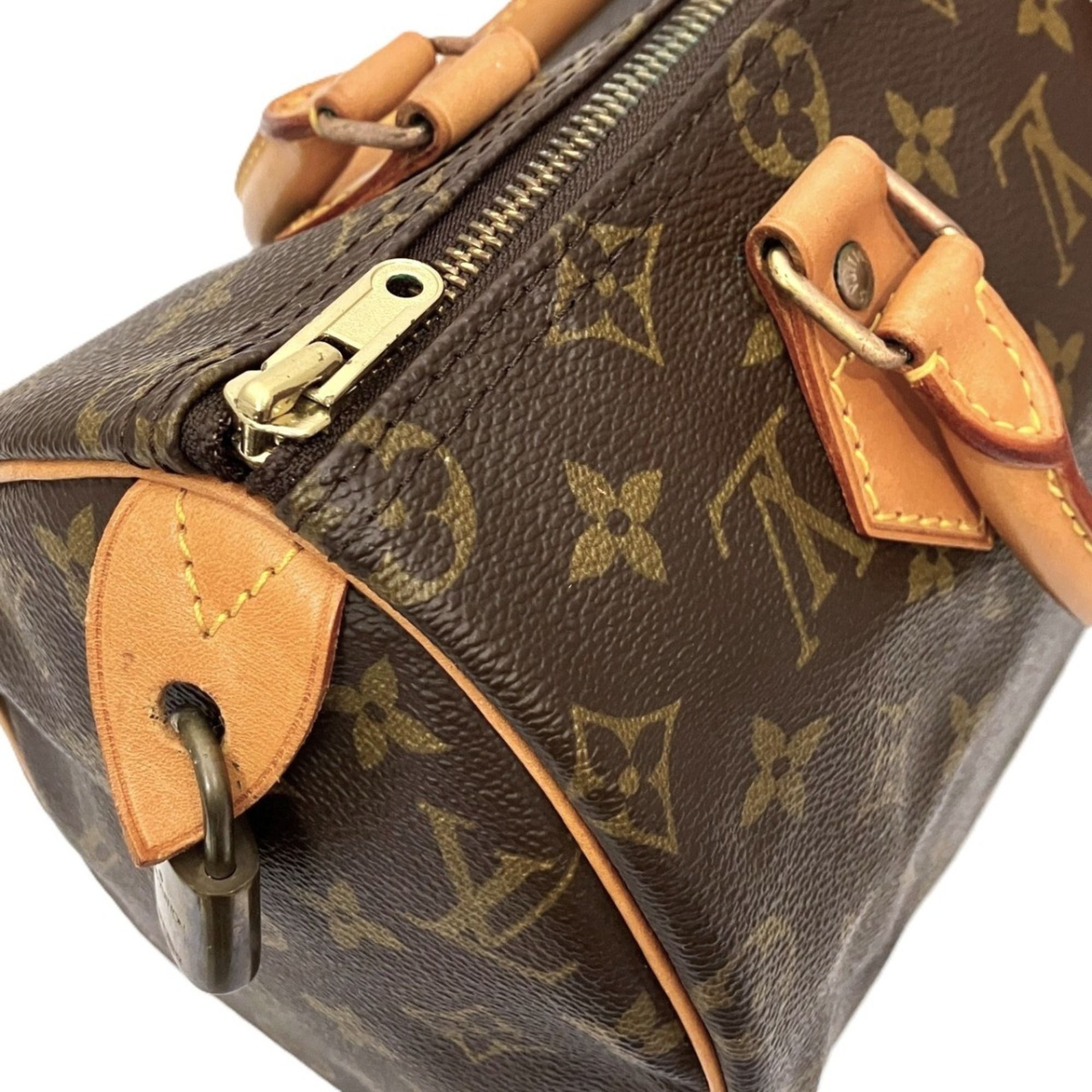 Handbag (Pre-Owned) - Louis Vuitton - Modalova