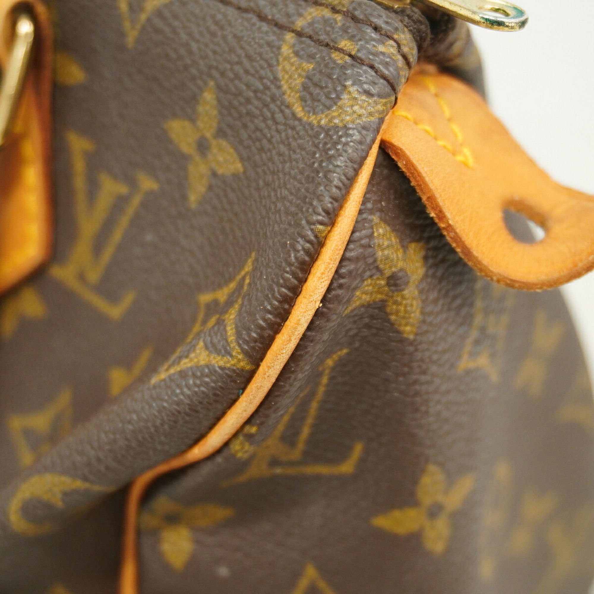 Handbag (Pre-Owned) - Louis Vuitton - Modalova