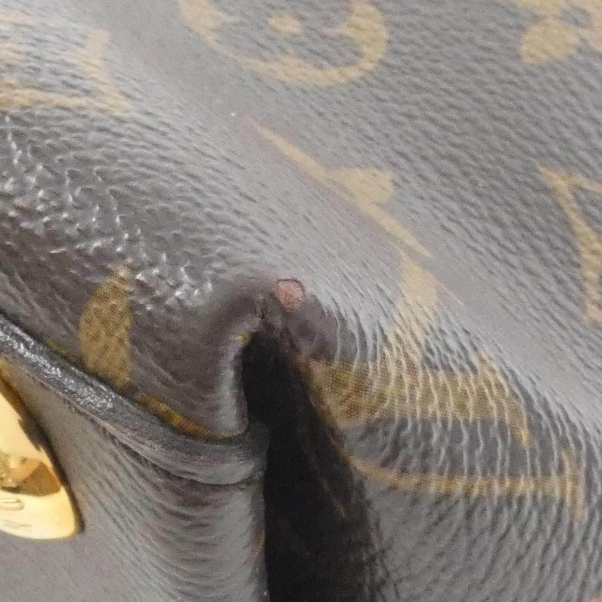 Monogram Coated Canvas Shoulder Bag (Pre-Owned) - Louis Vuitton - Modalova