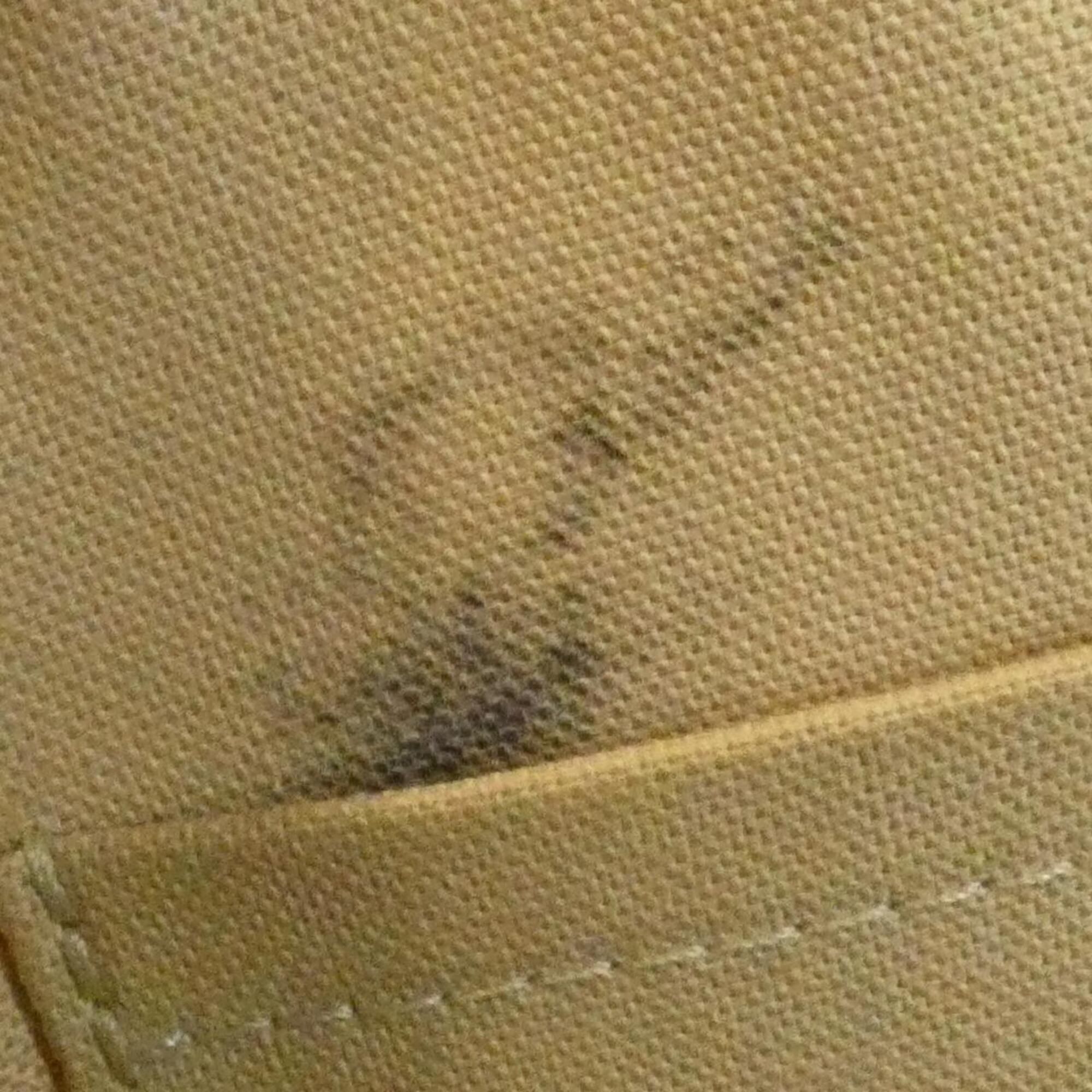 Coated Canvas Handbag (Pre-Owned) - Louis Vuitton - Modalova