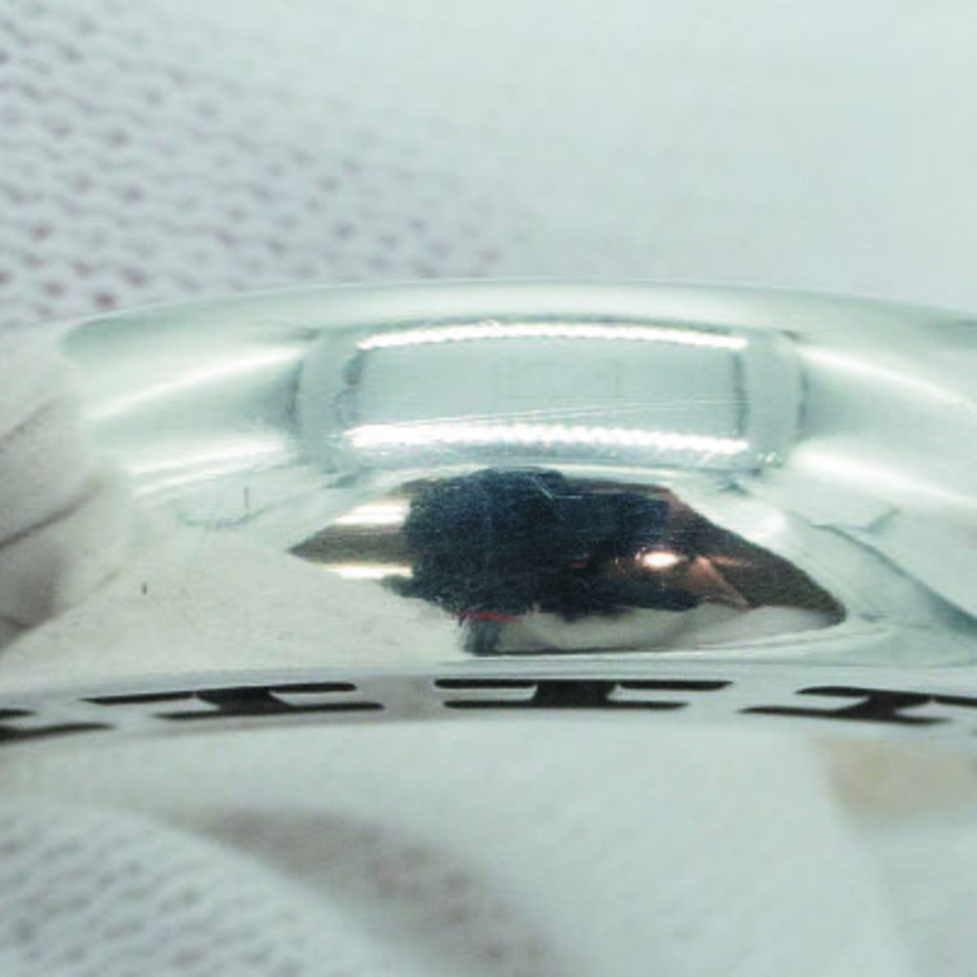 Sterling Silver 925 Band Ring (Pre-Owned) - Hermes - Modalova