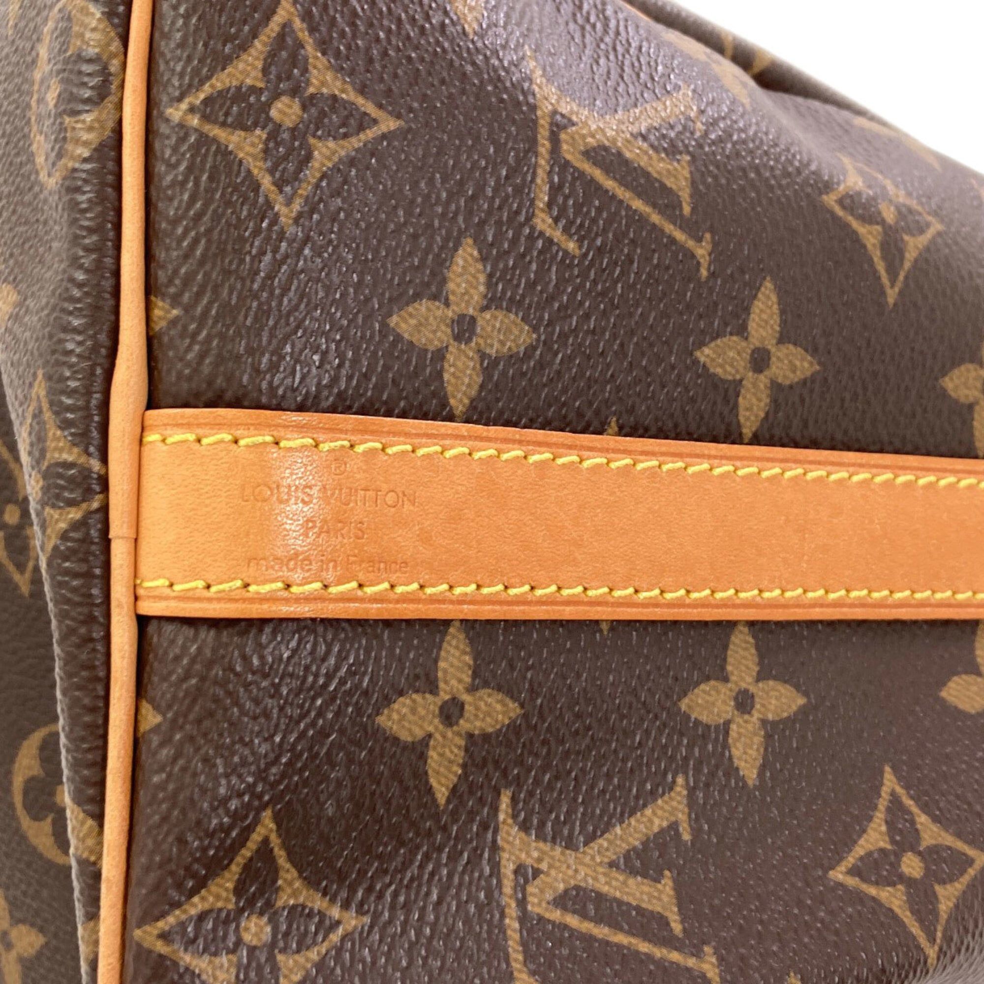 Handbag (Pre-Owned) - Louis Vuitton - Modalova