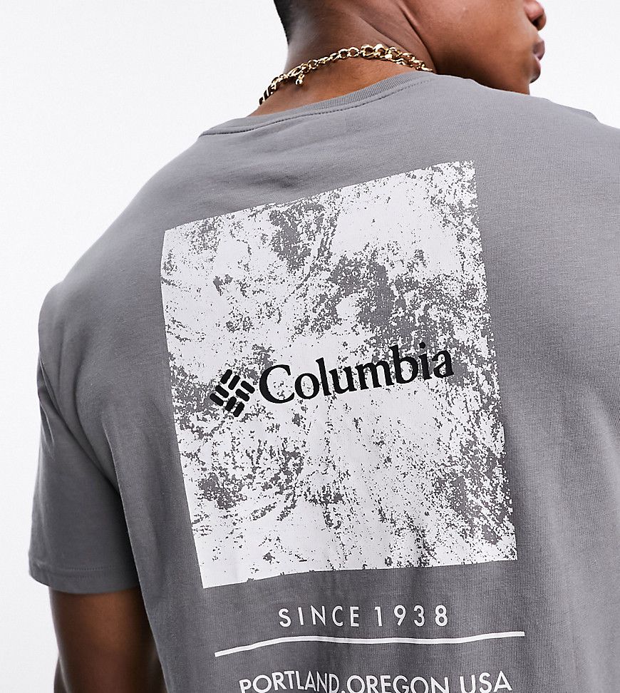 Barton Springs - T-shirt grigia con stampa sul retro - In esclusiva per ASOS - Columbia - Modalova