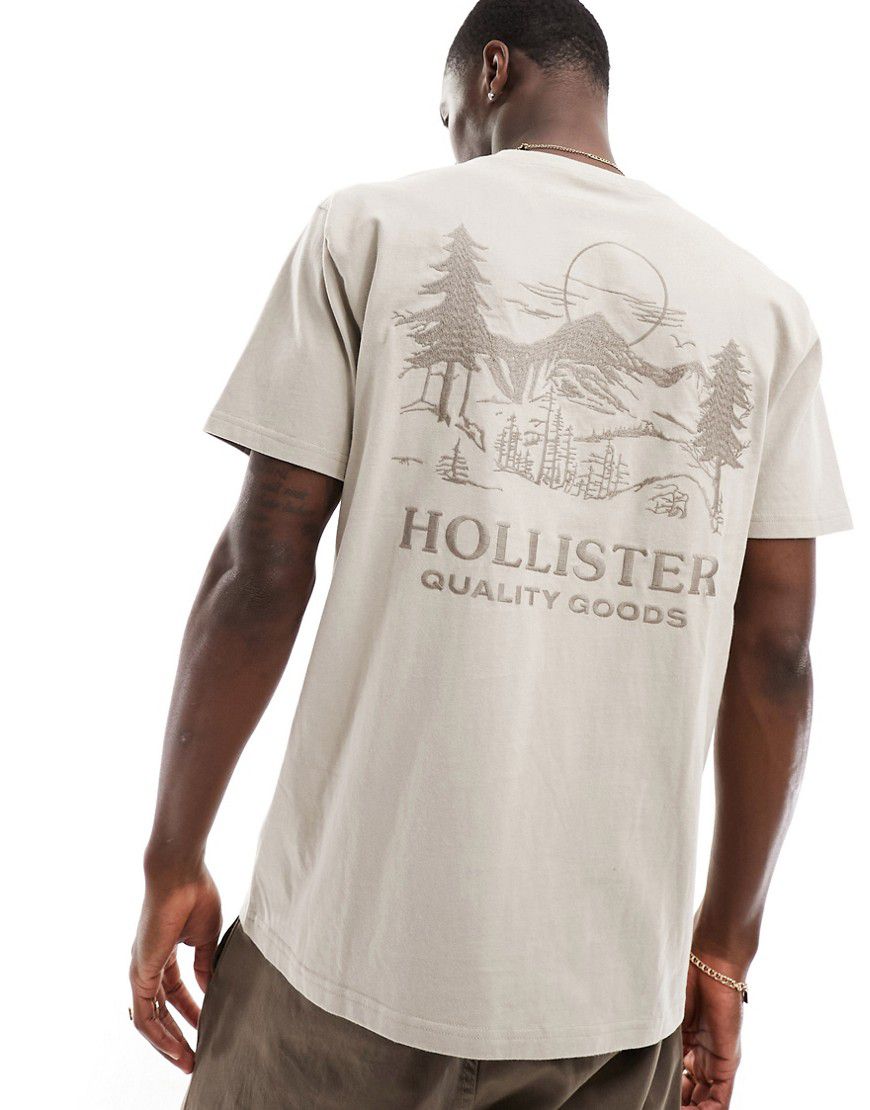 T-shirt comoda beige con stampa ricamata sul petto - Hollister - Modalova