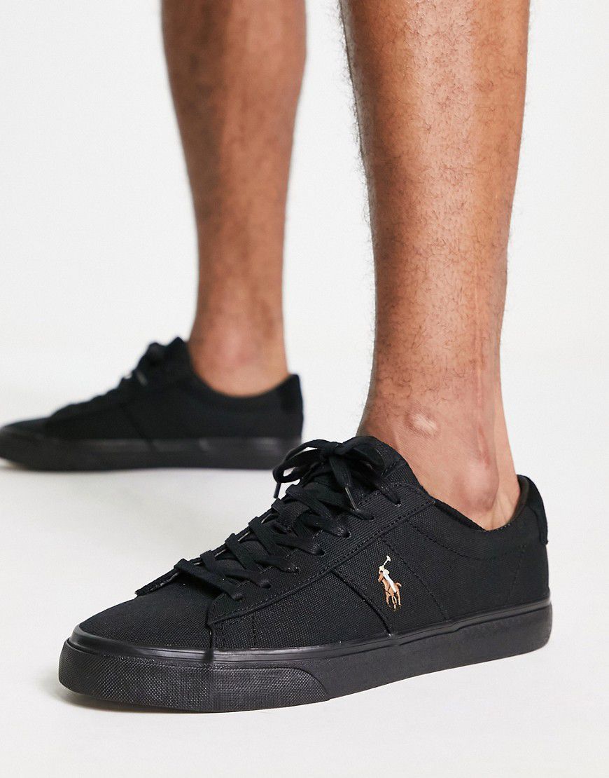 Sayer - Sneakers nere con logo - Polo Ralph Lauren - Modalova