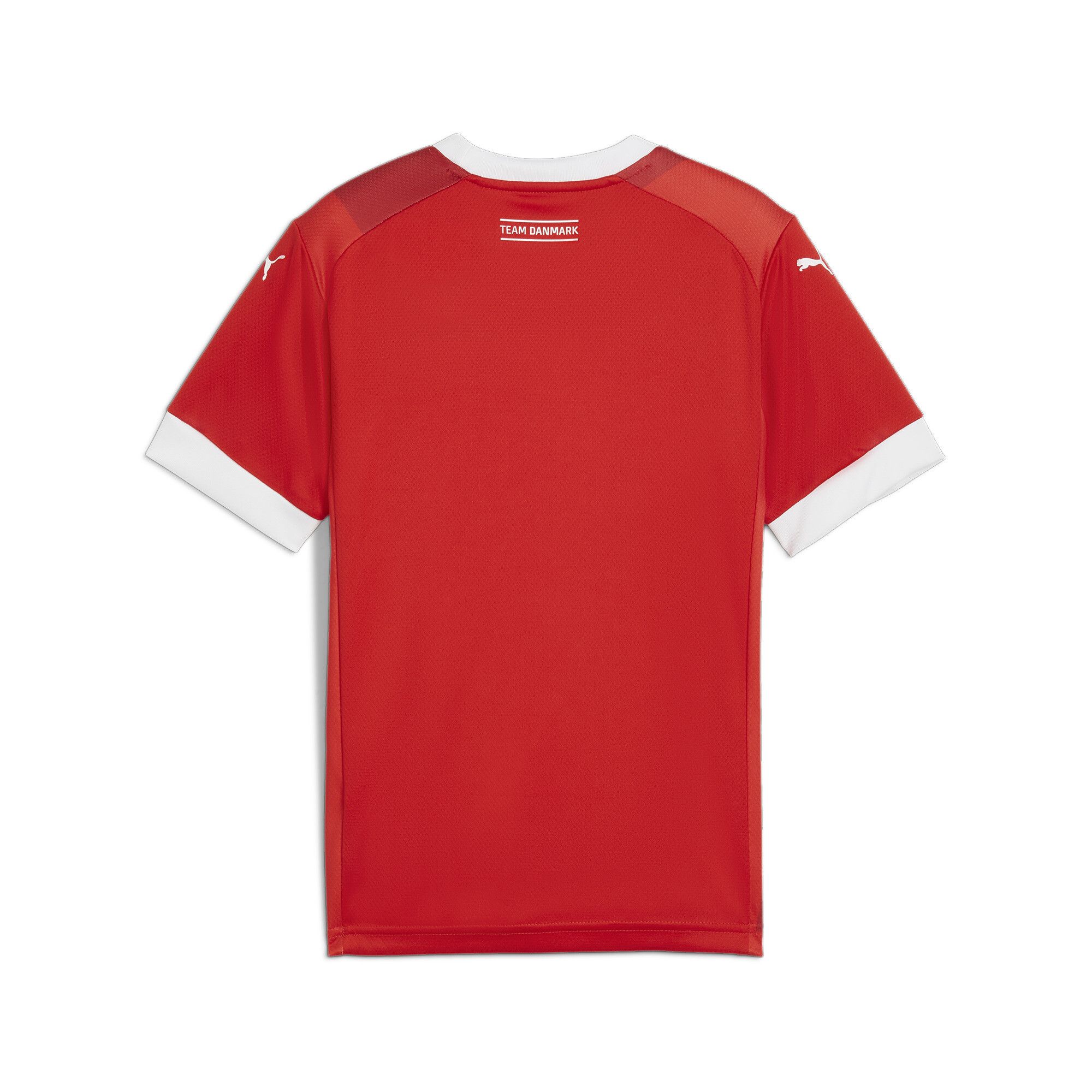 Maglia gara da pallamano Home Danimarca da ragazzi, Abbigliamento, Rosso, 1-2Y - PUMA - Modalova