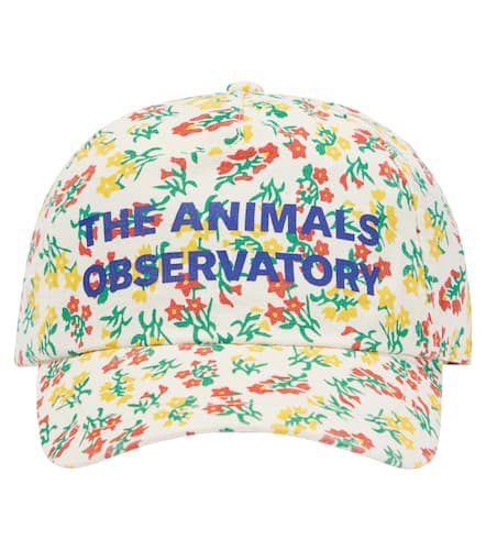 Cappello da baseball Hamster con stampa - The Animals Observatory - Modalova